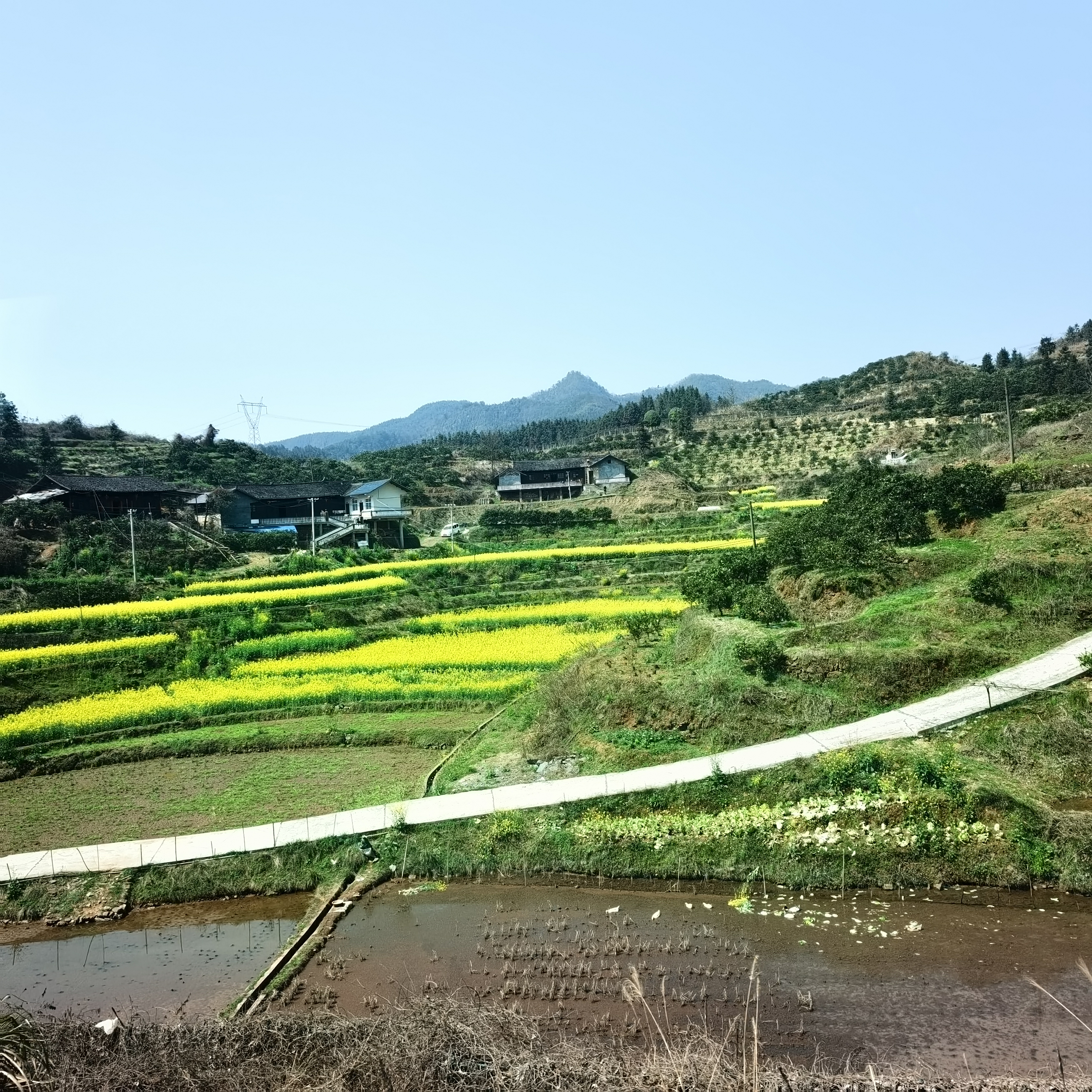 湖南沅陵七甲坪恶霸图片