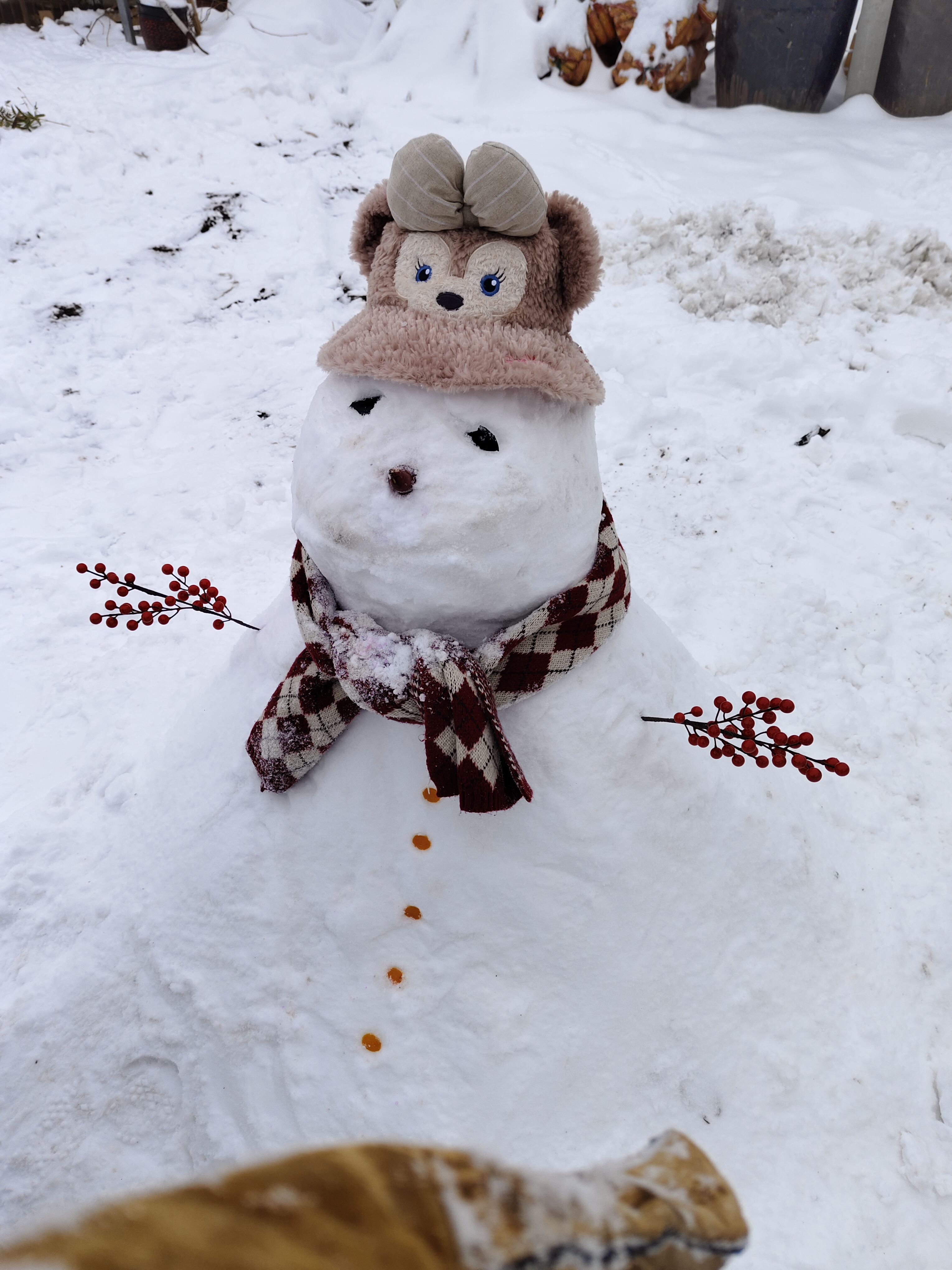 雪人融化的过程图片