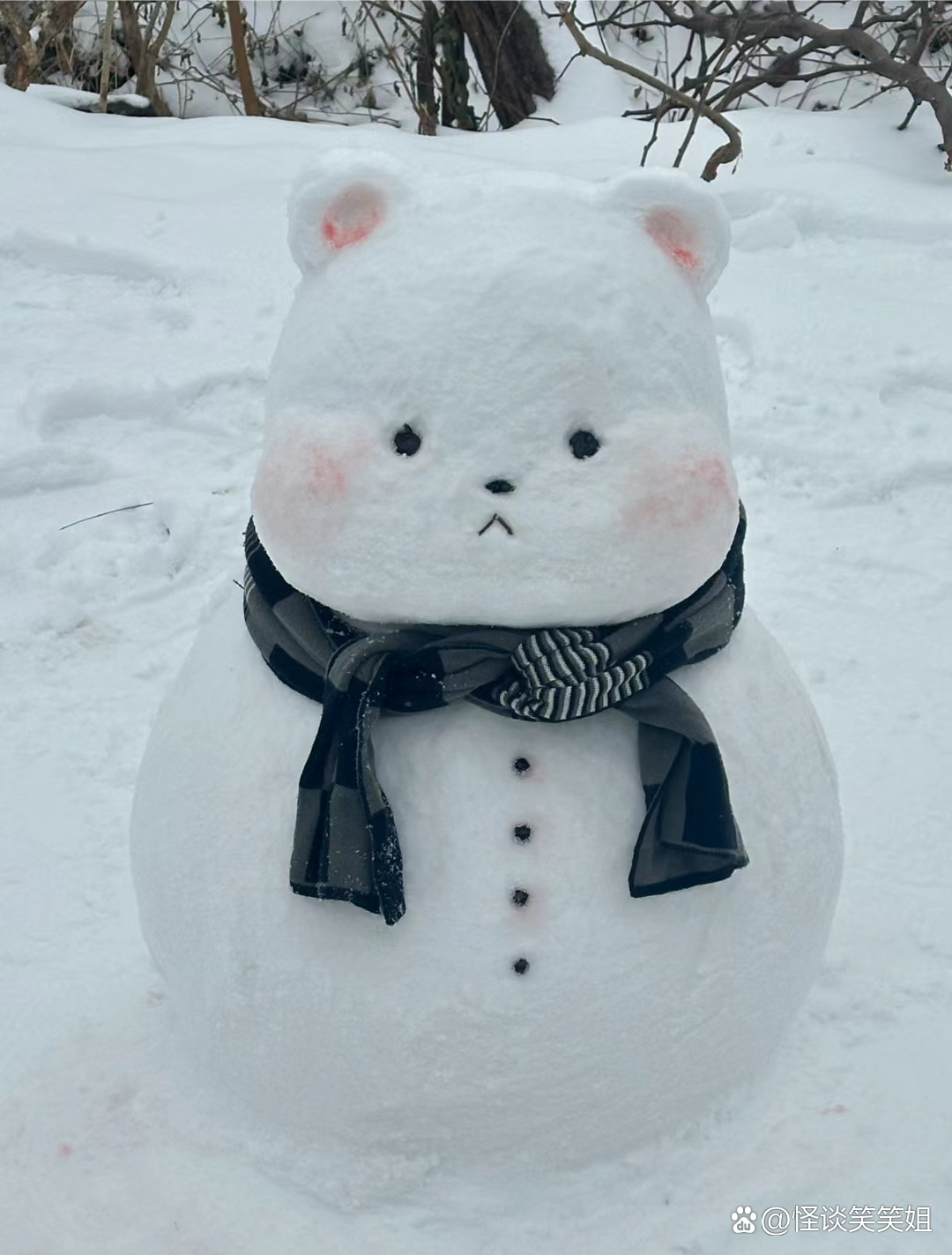 近日来,湖北多地迎来持续强降雪,现在又正值春运返乡