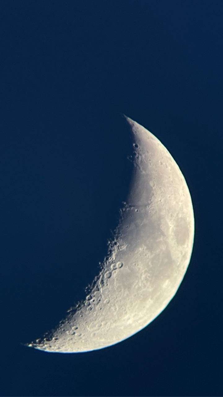 今天的月亮特别美