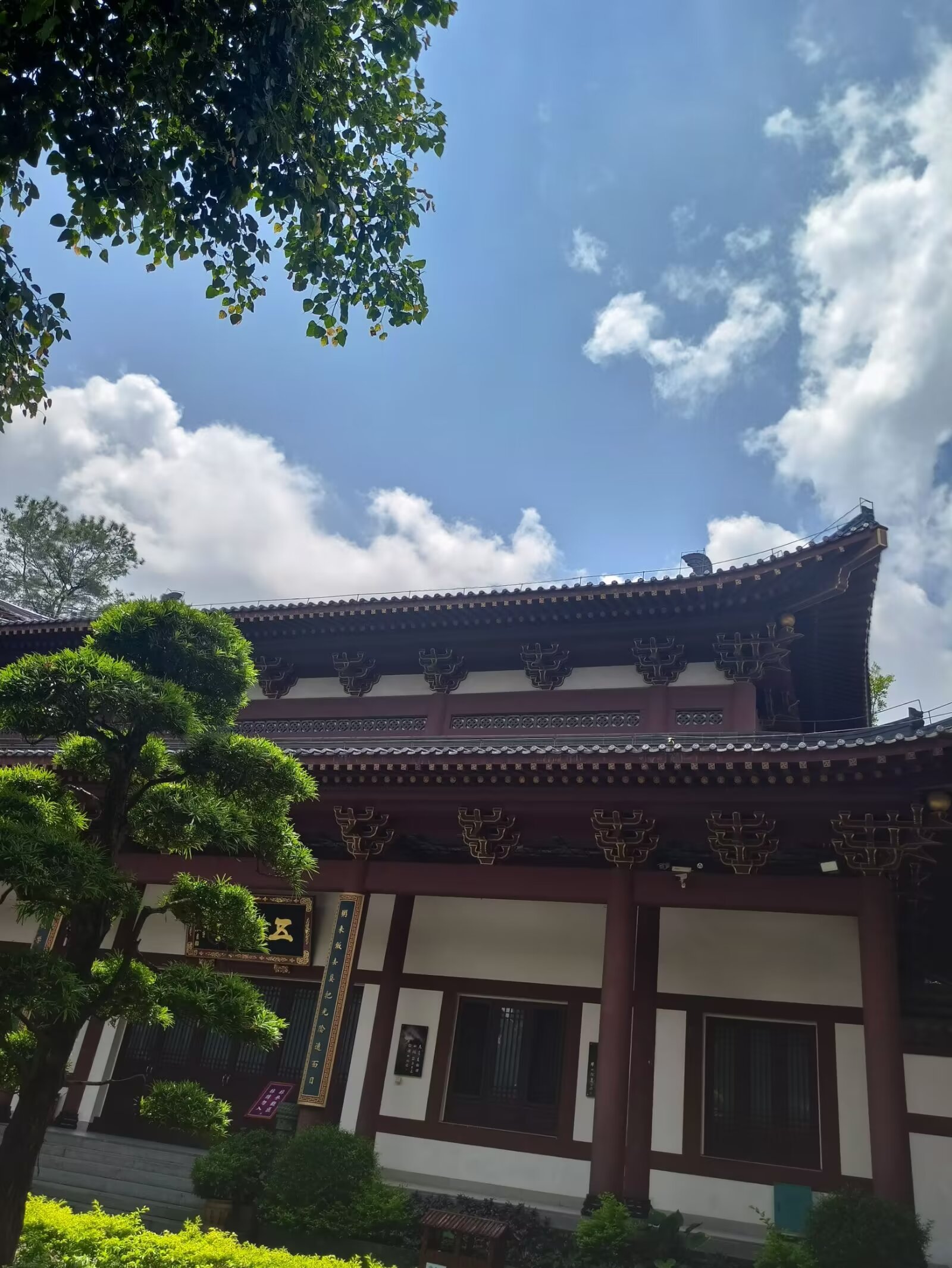 除了双手 每个人还有一对隐形的翅膀 有的人 凭借双