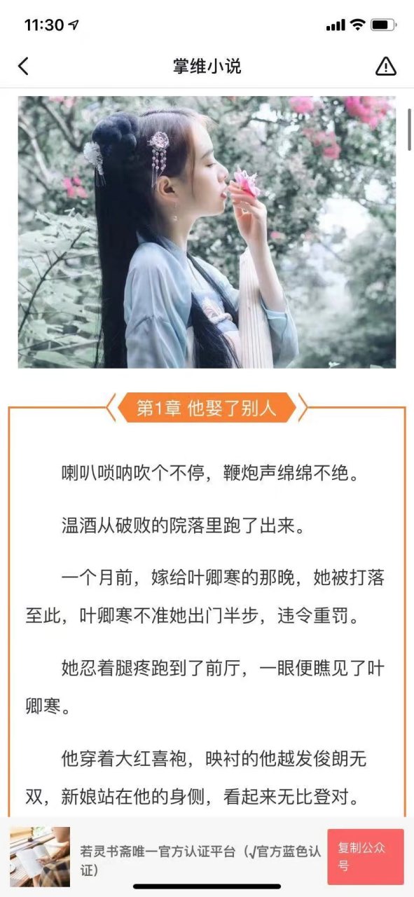 完整小说 《温酒叶卿寒温雨烟》又名《温酒叶卿寒》小说全文阅读【大