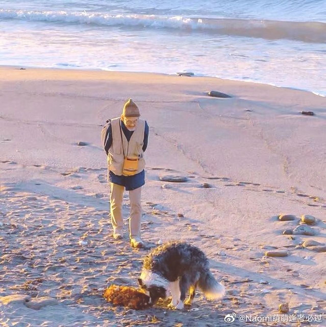刚刚阅读完这本 抖音推荐主角谷绵怜小说《收服by乔乔》谷绵怜小说