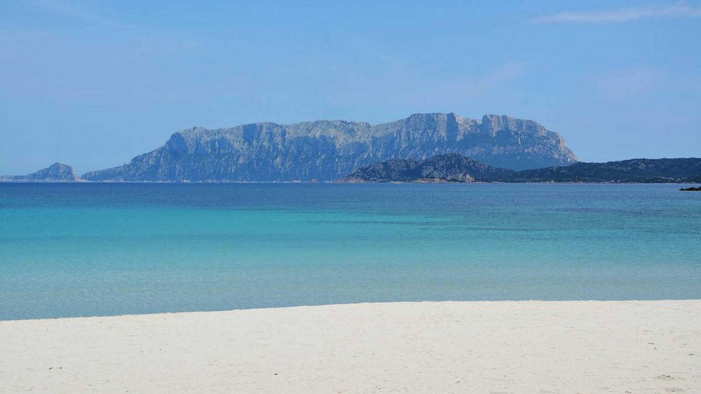 既然体会到了起心动念,为何还要受困于心受苦于情,缘来缘去观自在啊.