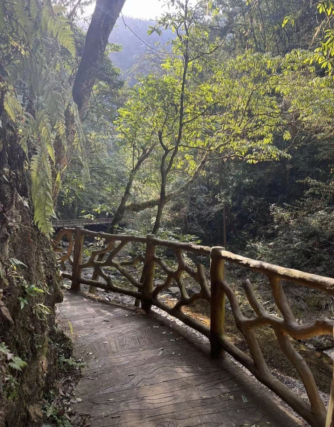旅游去哪里玩比较好(五天旅游去哪里玩比较好)
