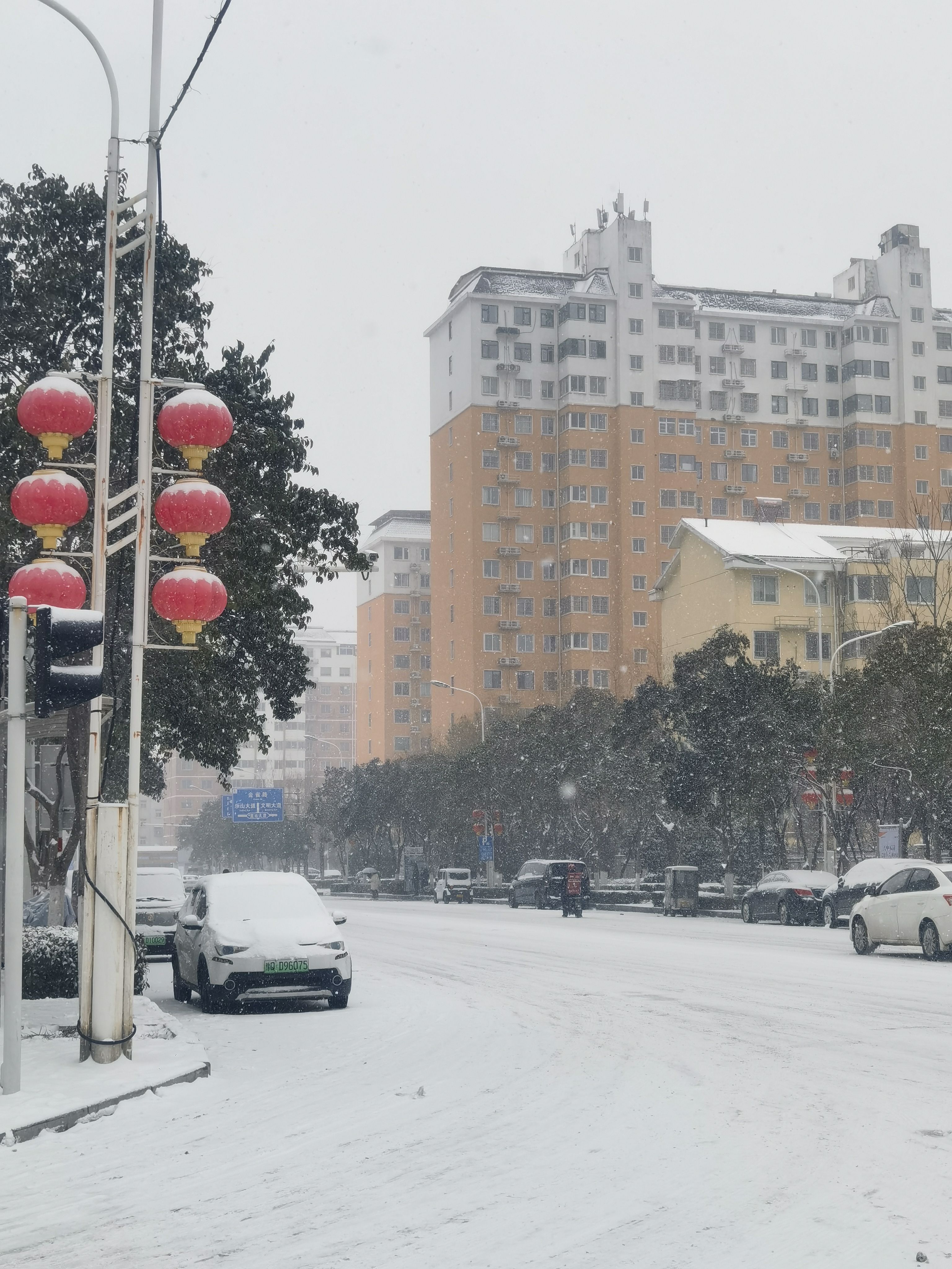 遂昌天气预报图片