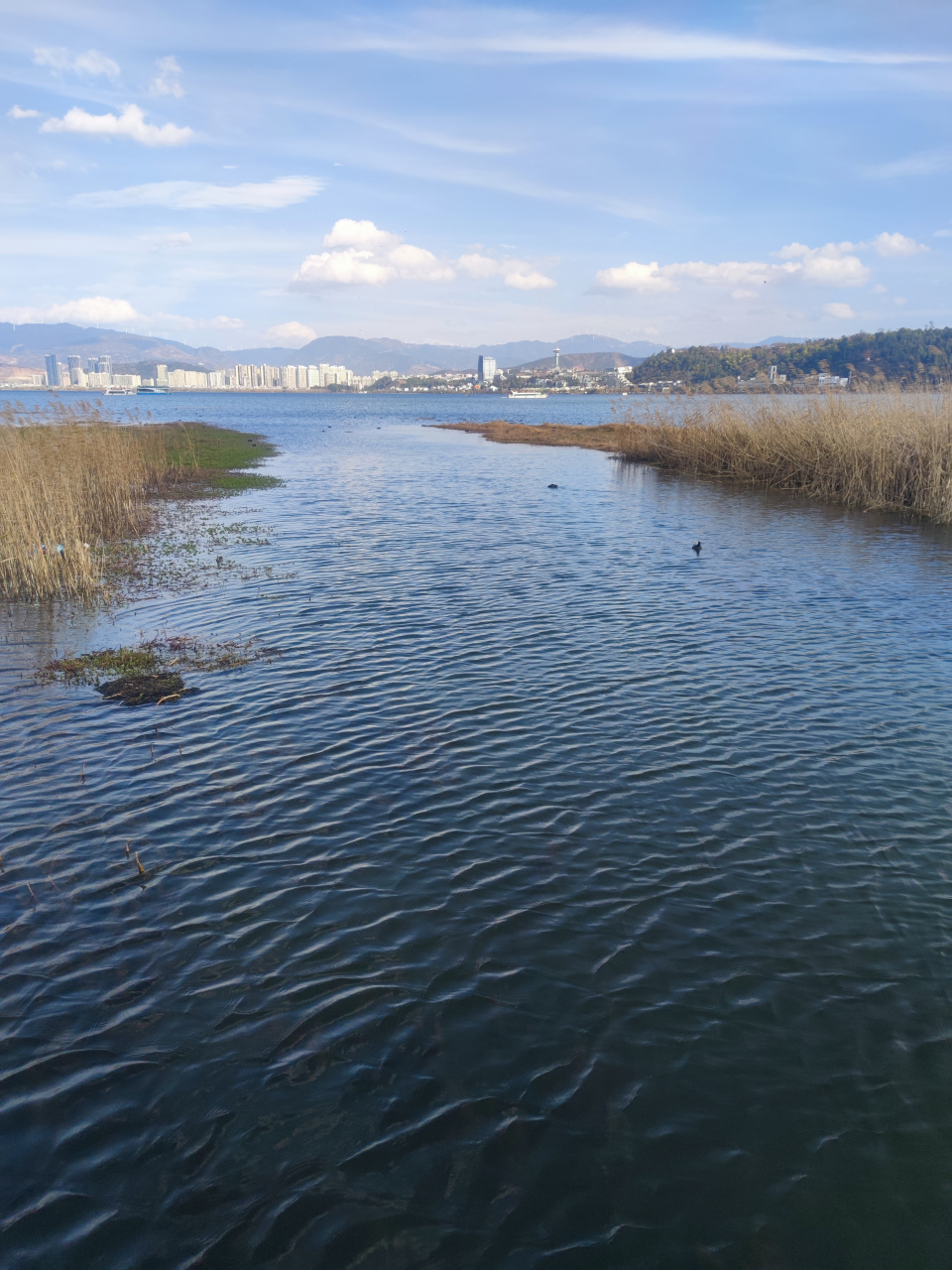 洱海月湿地公园,背靠大理市全民健身中心,乃大理市为保护洱海这一母亲