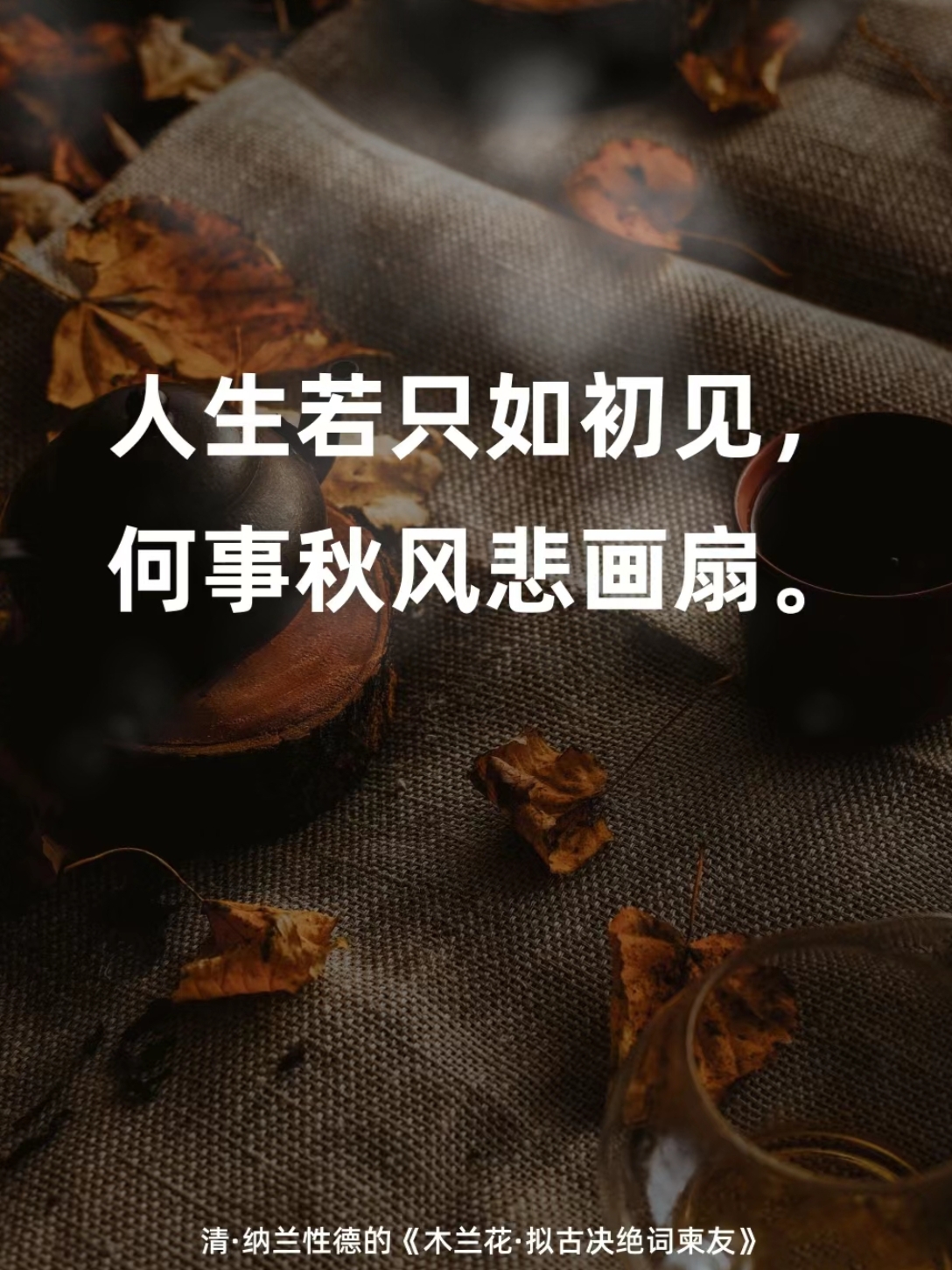 安意如《人生若只如初见》里的心动瞬间  每次翻开安意如的《人生若只