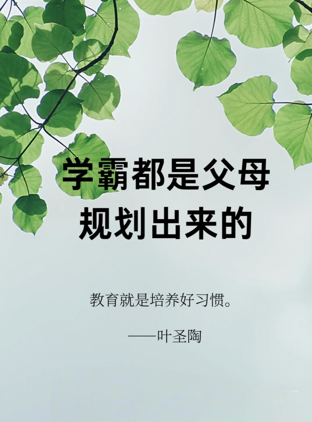 父母的规划并非是给孩子制定一个严苛到令人窒息的学习时间表,而是