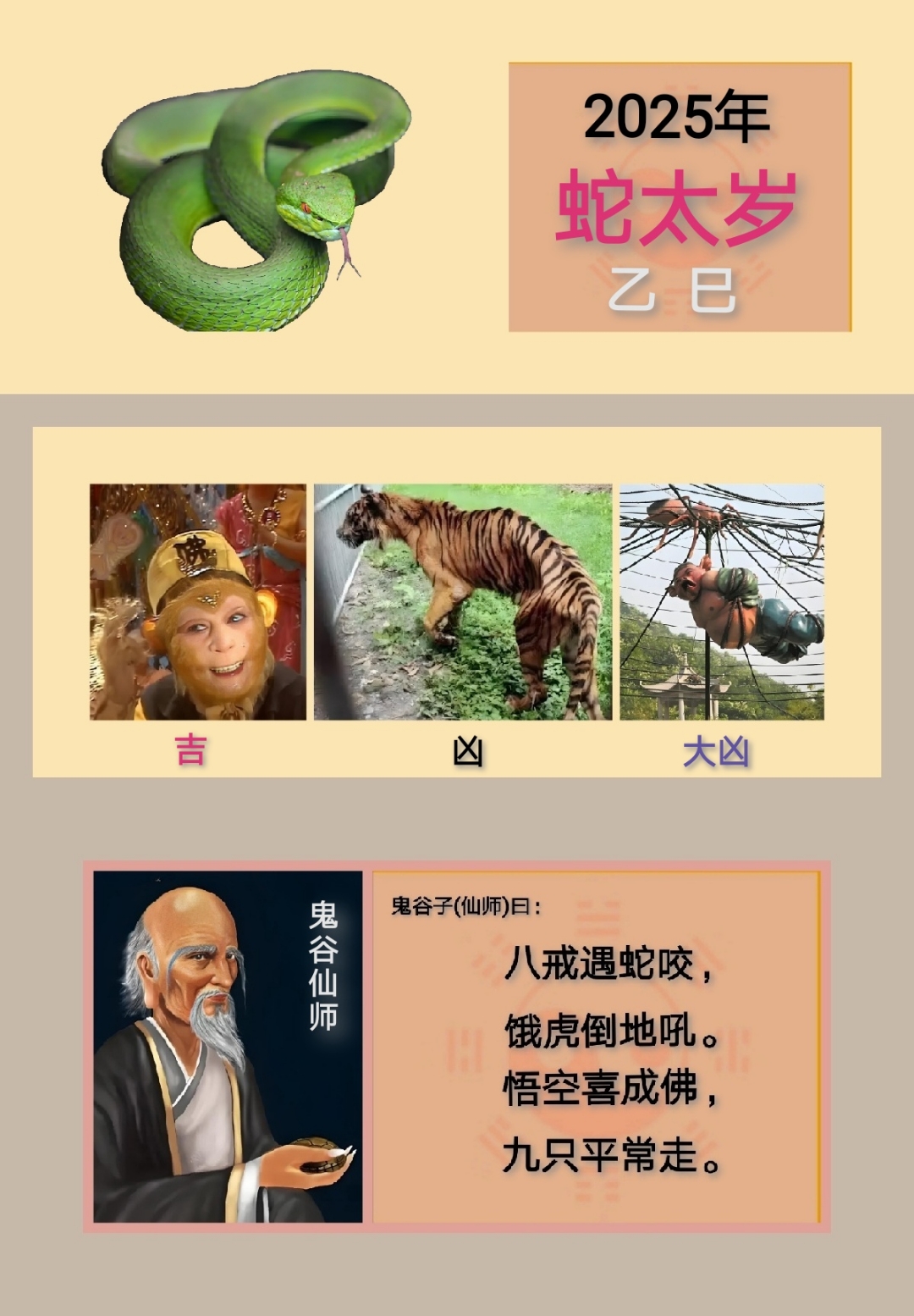 十二生肖1月运势2025(2022十二生肖每月运势完整版)