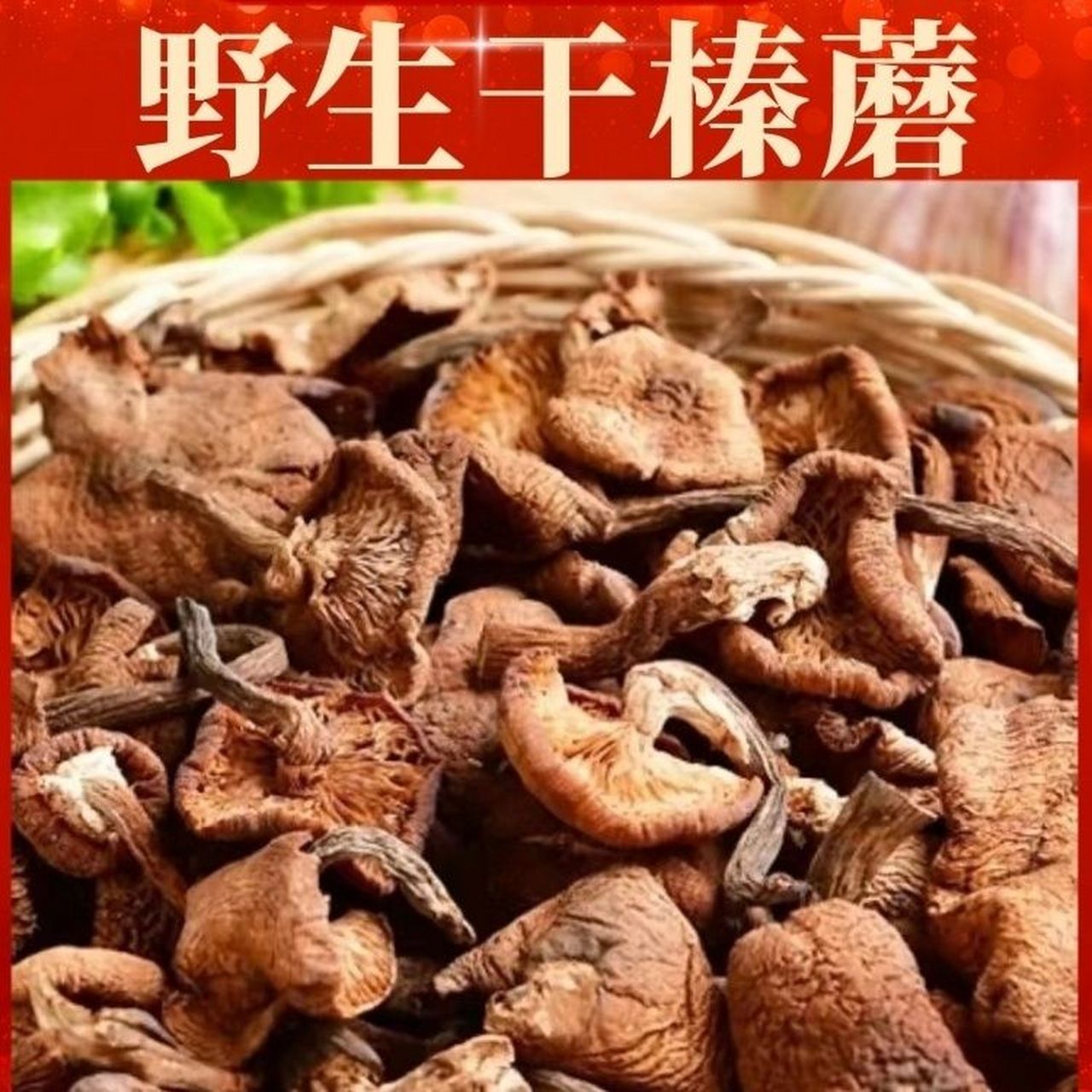 东北榛蘑照片 辽宁图片