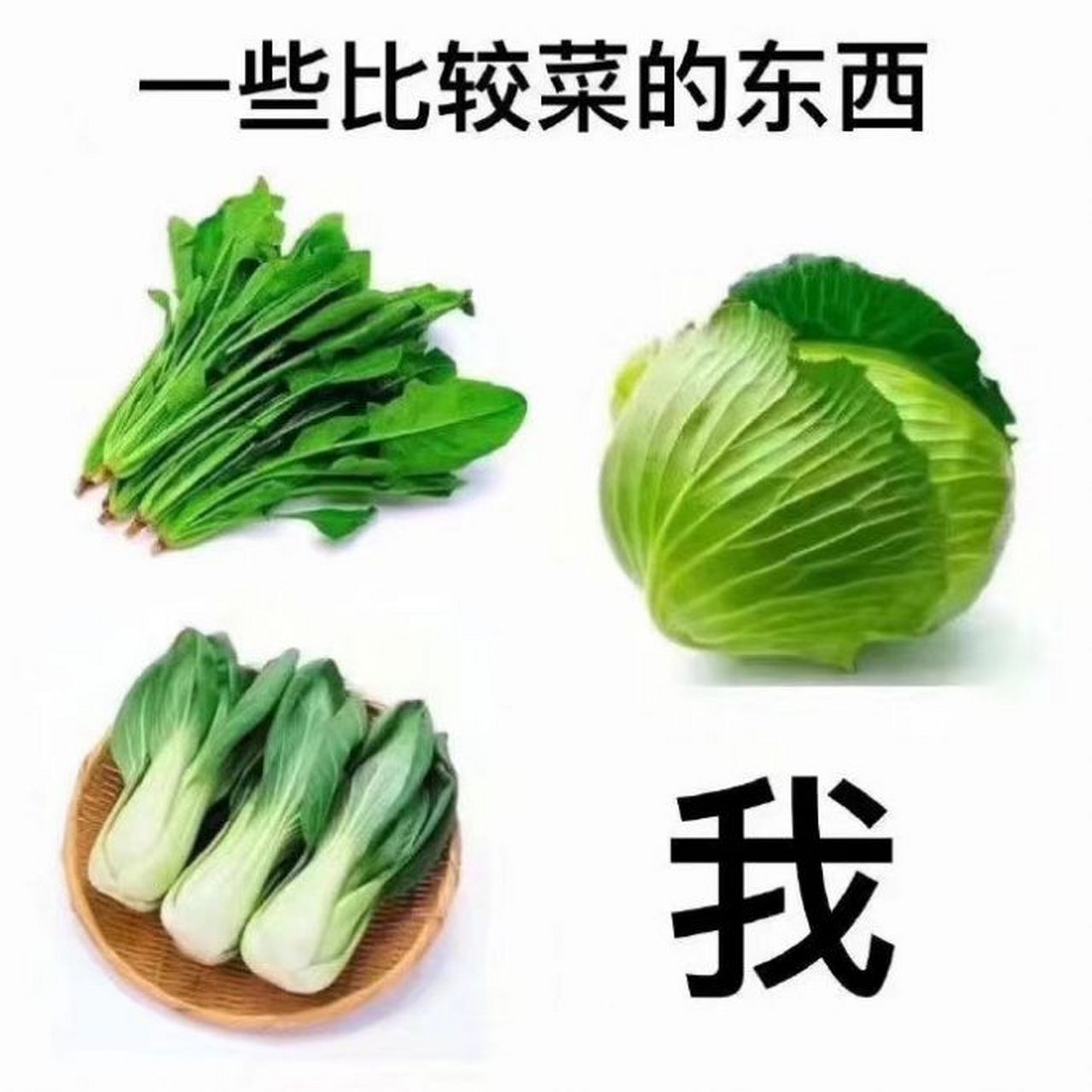 最爱sariel的末小方 的设定,我好菜啊