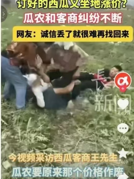 广西西瓜雷州事件图片