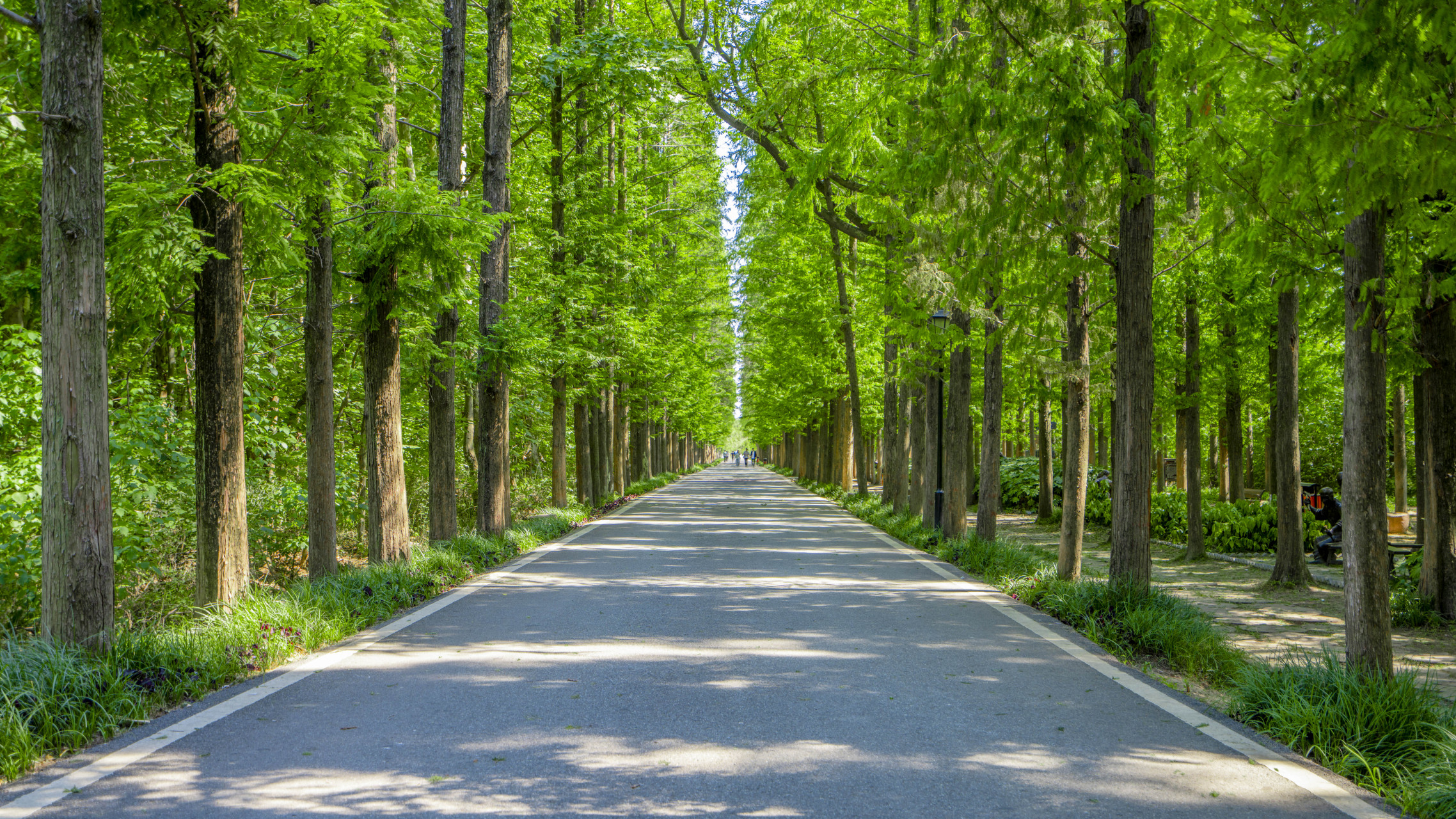 是2001年经河南省林业厅批准建设的省级森林公园,位于息县县城西北部