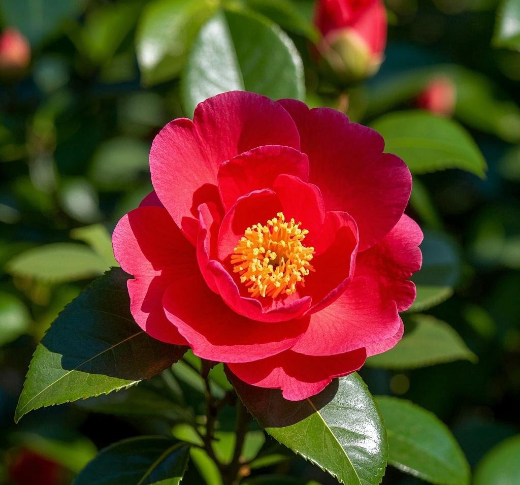 冬天来了,春天也不远了