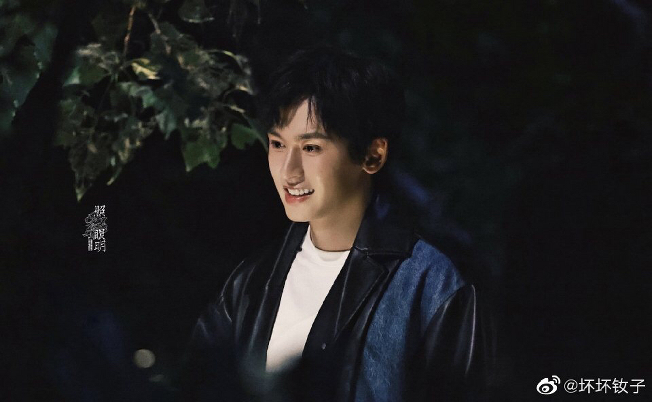 栀子花语 #张哲瀚#           栀子花语,坚强,好贴切呦!