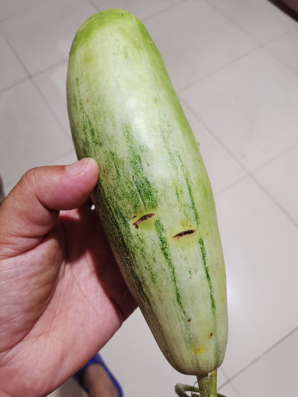 江苏徐州雨润市场,买到毒甜瓜羊角蜜.瓜体好多注射口.