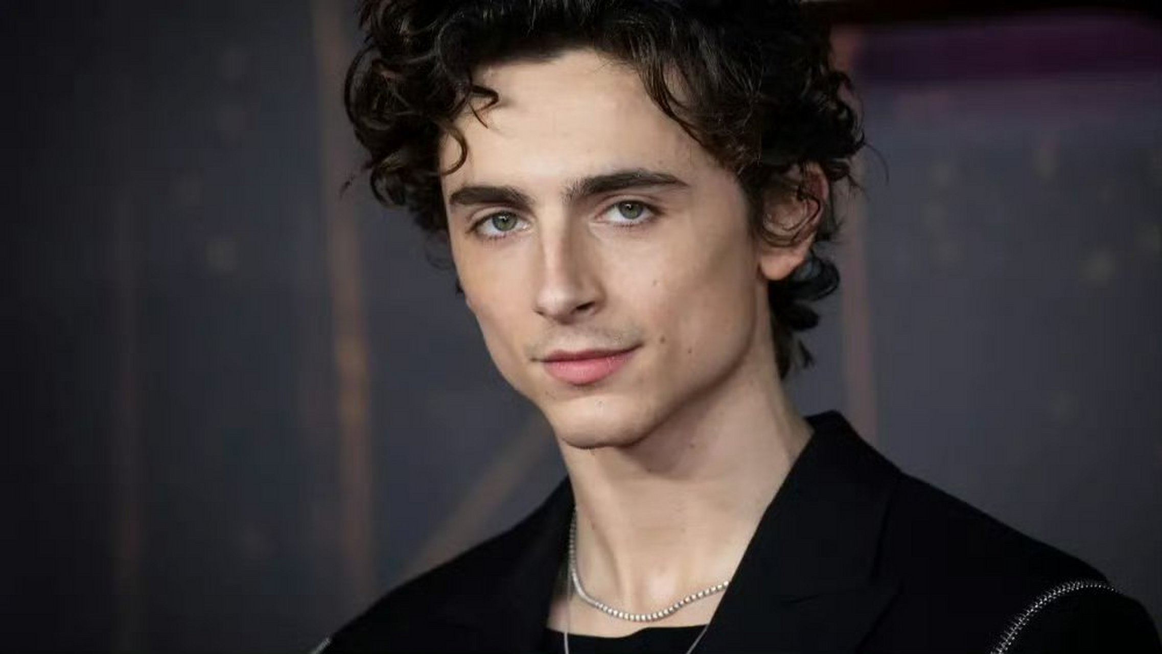 扎克瑞·莱维在新片《哈罗德和紫色蜡笔》首映上被et问到:他配音男主