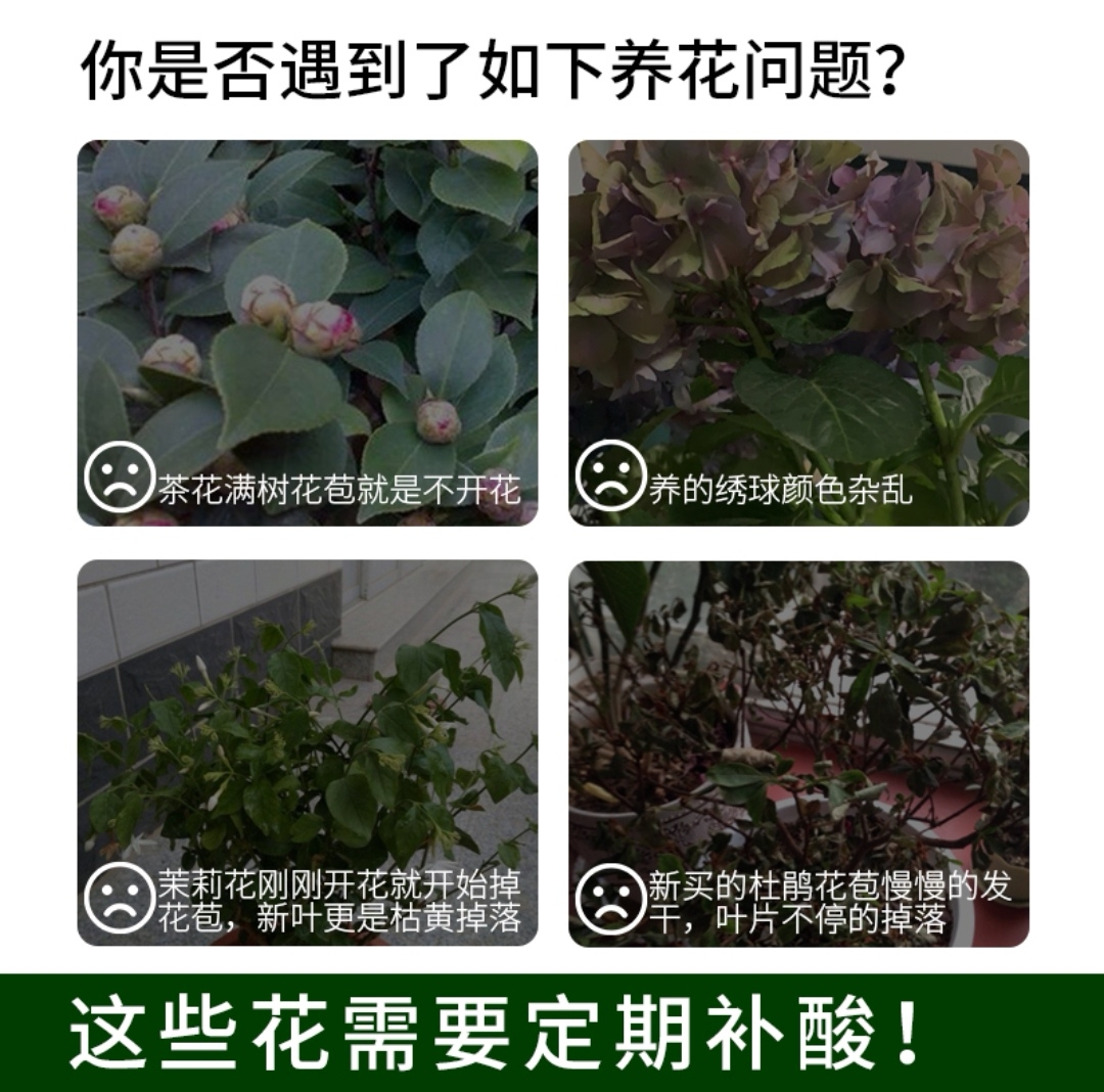 茶叶不能栽花吗（茶叶可以种花草吗） 茶叶不能栽花吗（茶叶可以种花草

吗）《茶叶能不能种花》 茶叶资讯