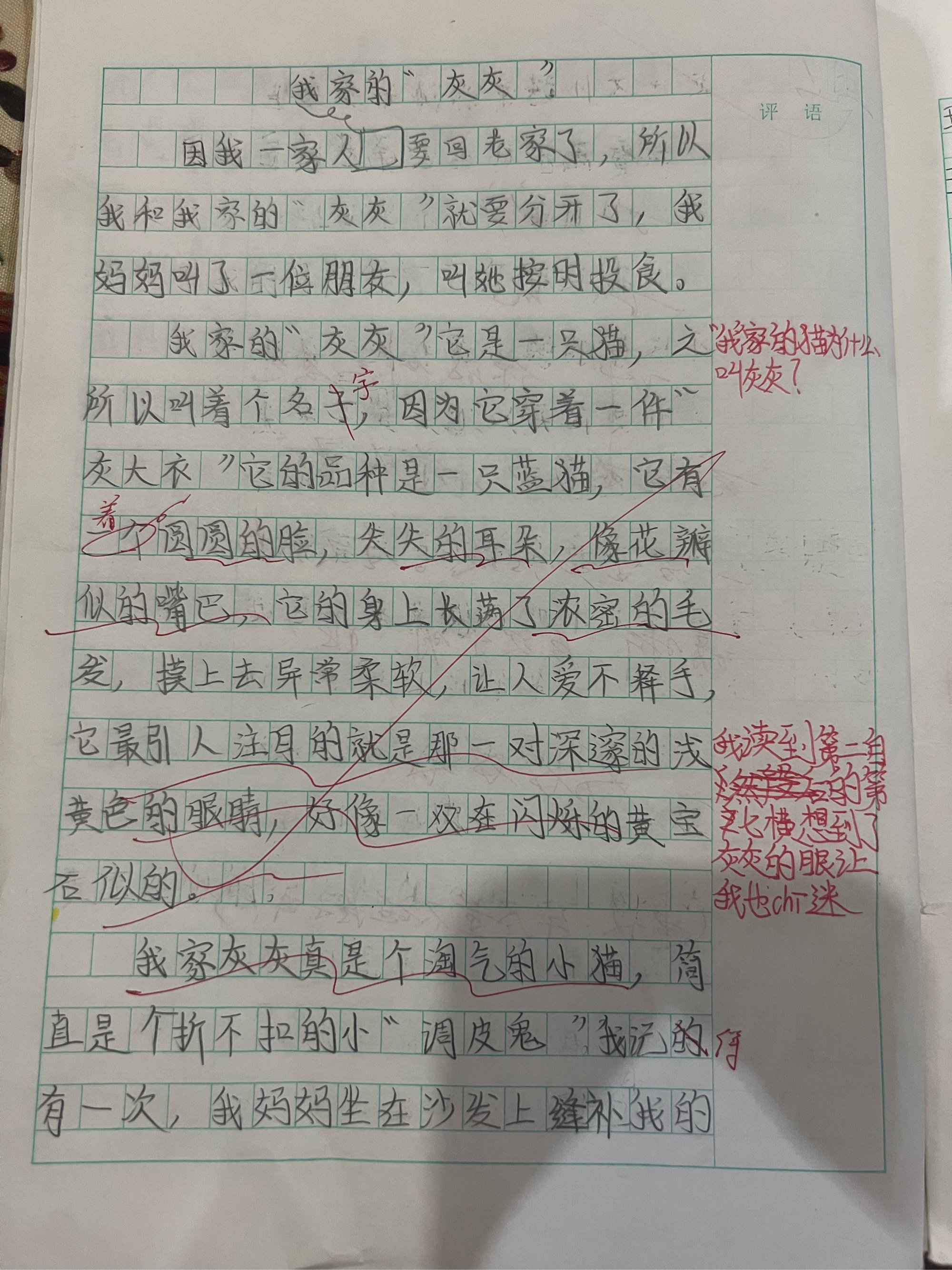 四年级的作文