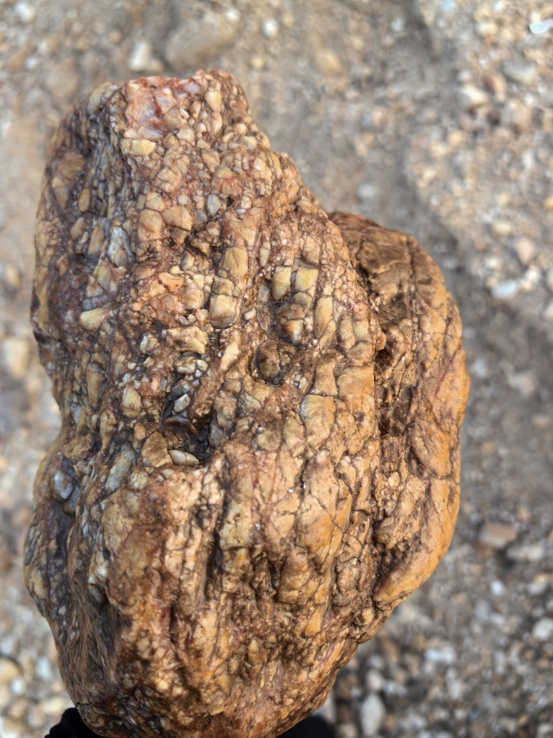 今天在河边捡了一块卤牛肉.谁知道这是什么石头呀?