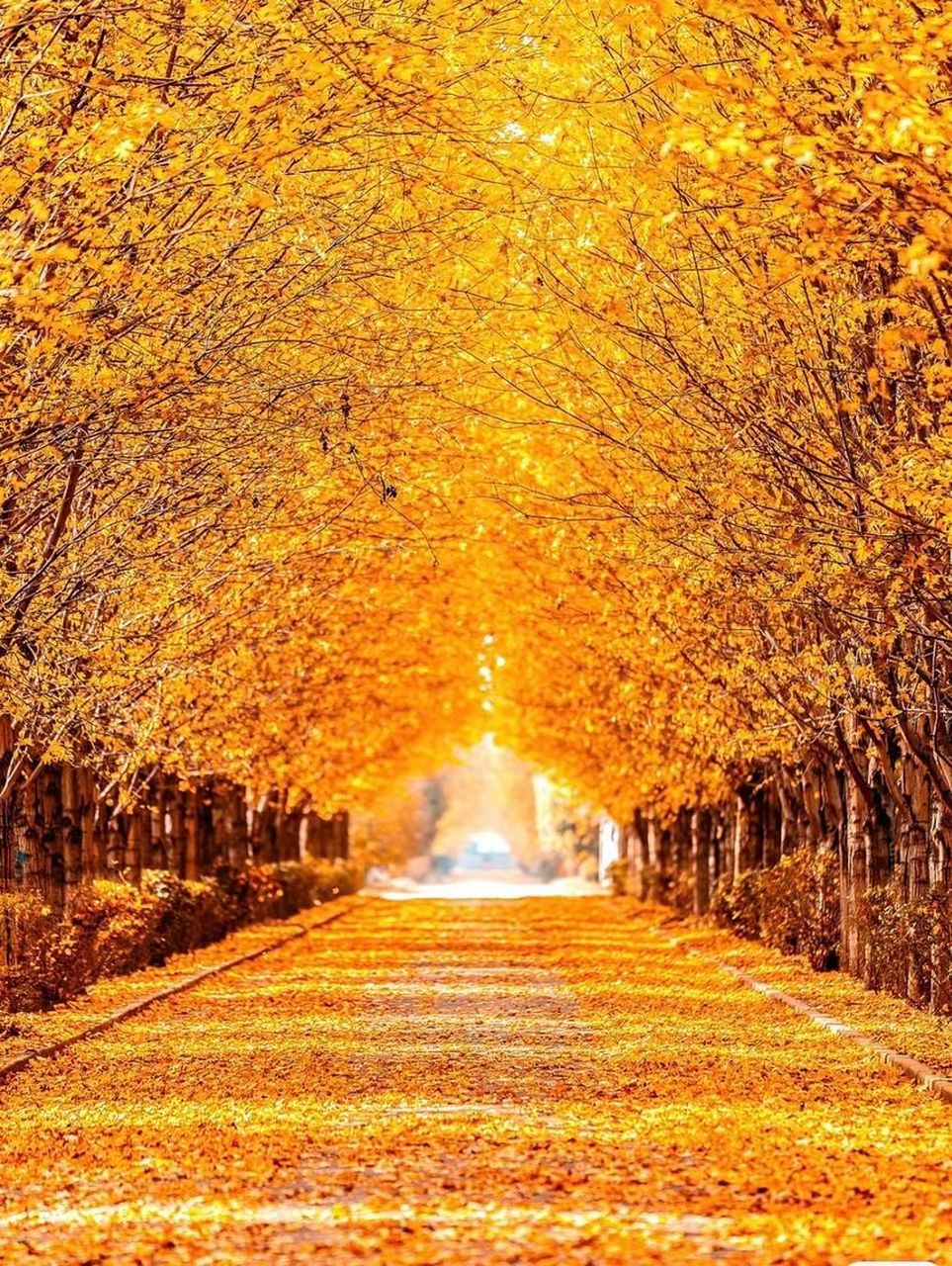 肯低下头来,保持谦卑,并非承认自己不如别人,而是不卑不亢的精进态度.