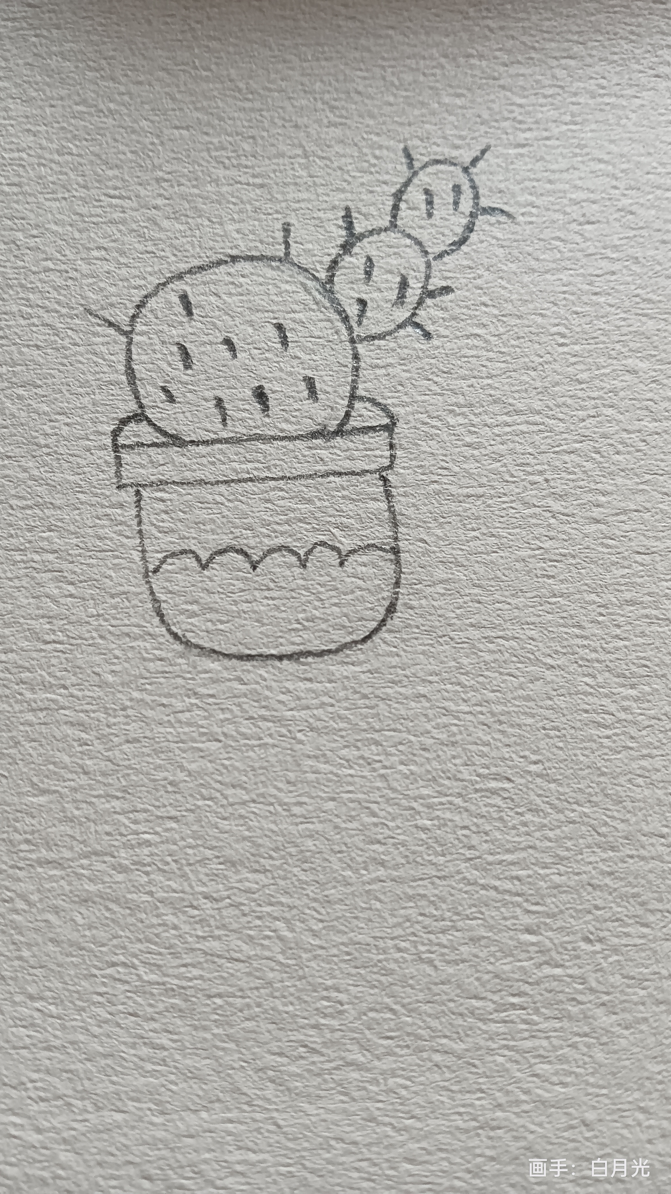 今天的作品,盆景素描.