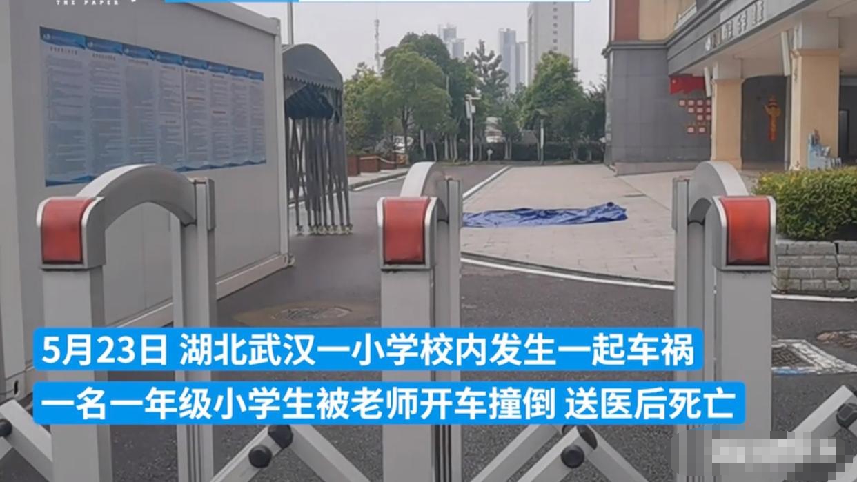 小学生在校内被老师开车撞倒身亡