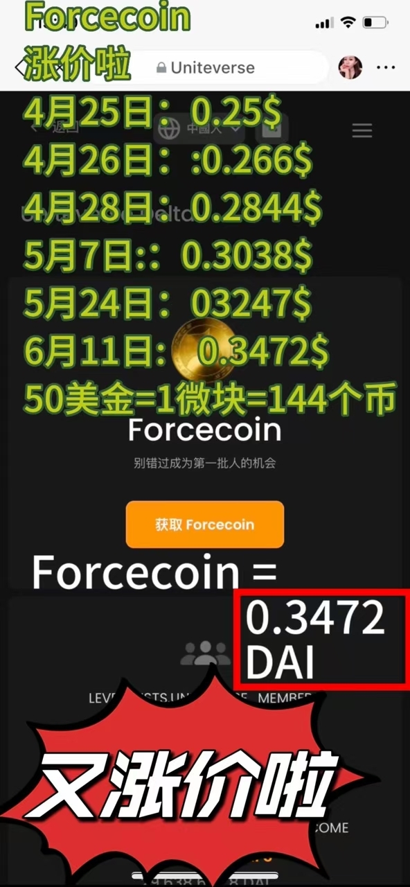 世界顶级项目～原力元宇宙 【区块链 智能合约 元宇宙生态】 多项获得