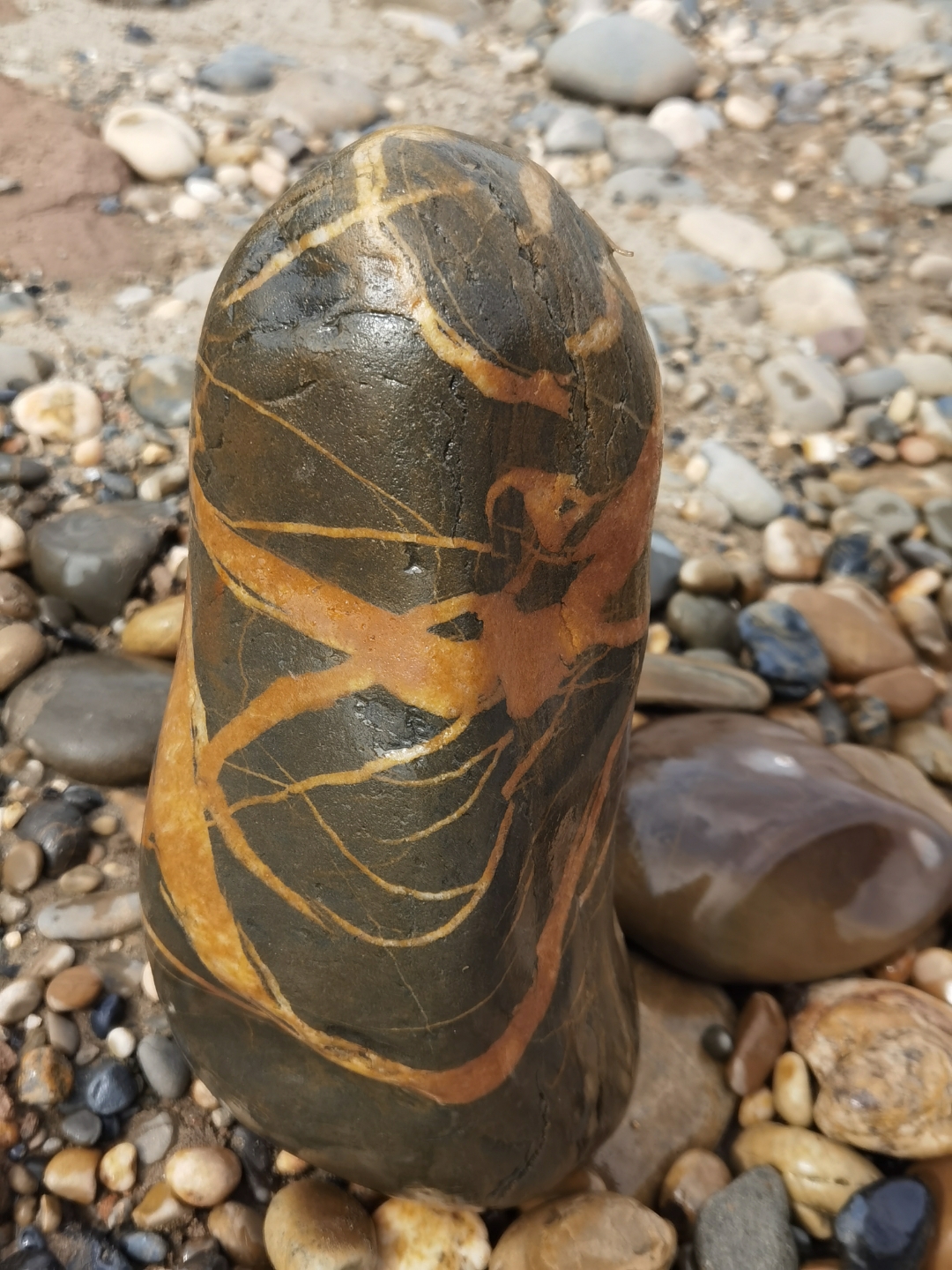 在鹅卵石的世界里,我遇见了这块独特的石头