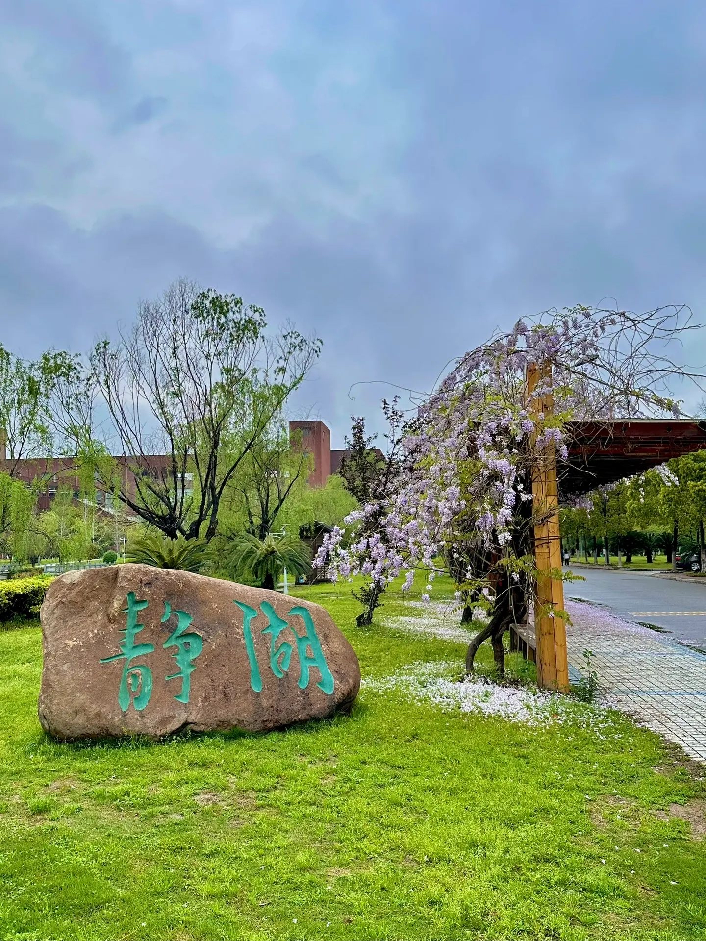 江西师范大学 瑶湖图片