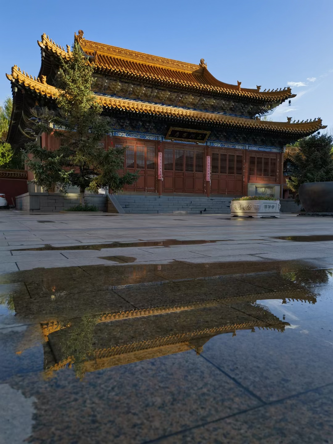 越是炫耀什么,就越容易失去什么