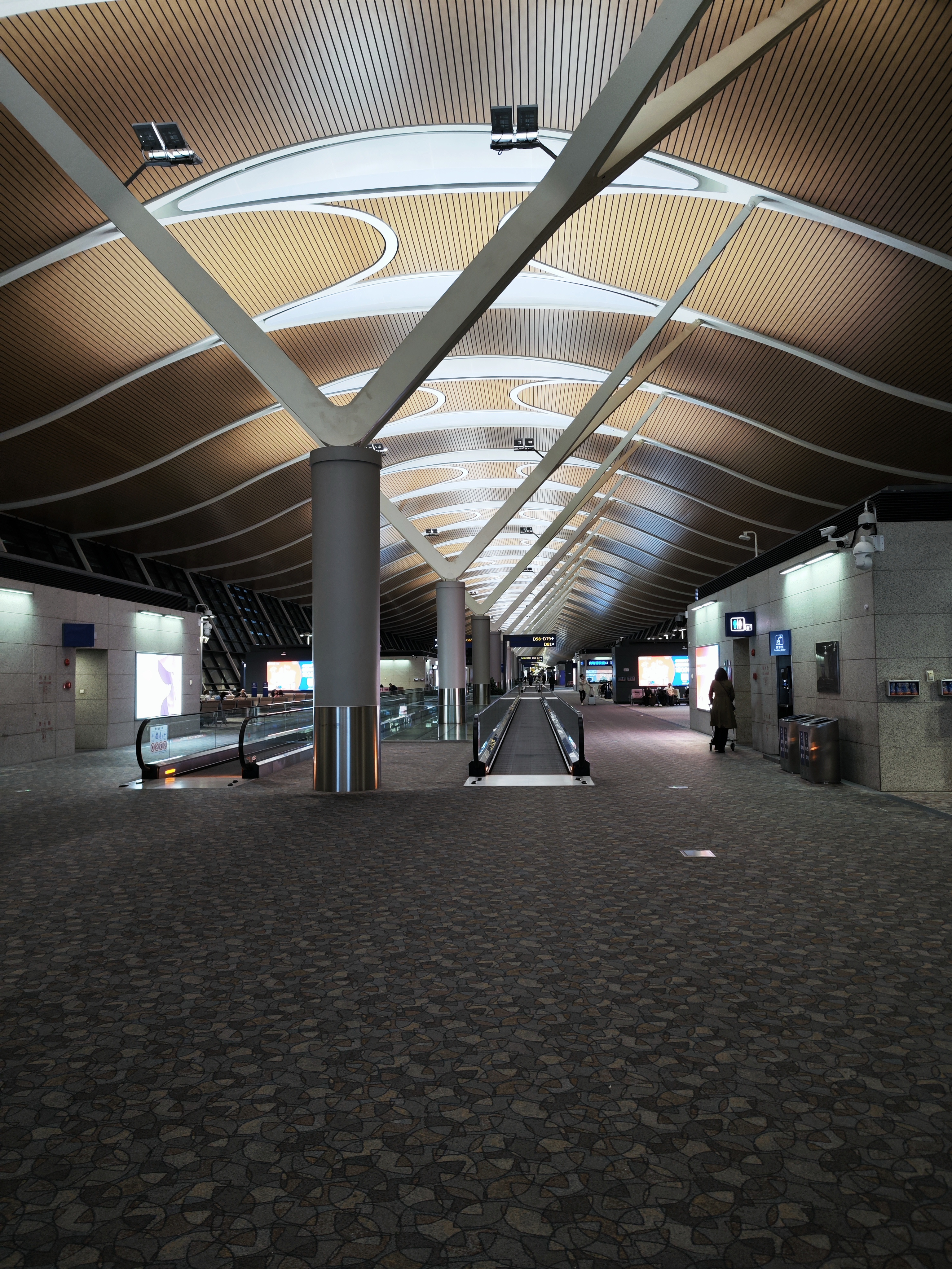 深夜的浦东国际机场,仿佛一座沉睡的巨兽,静谧而庄重.