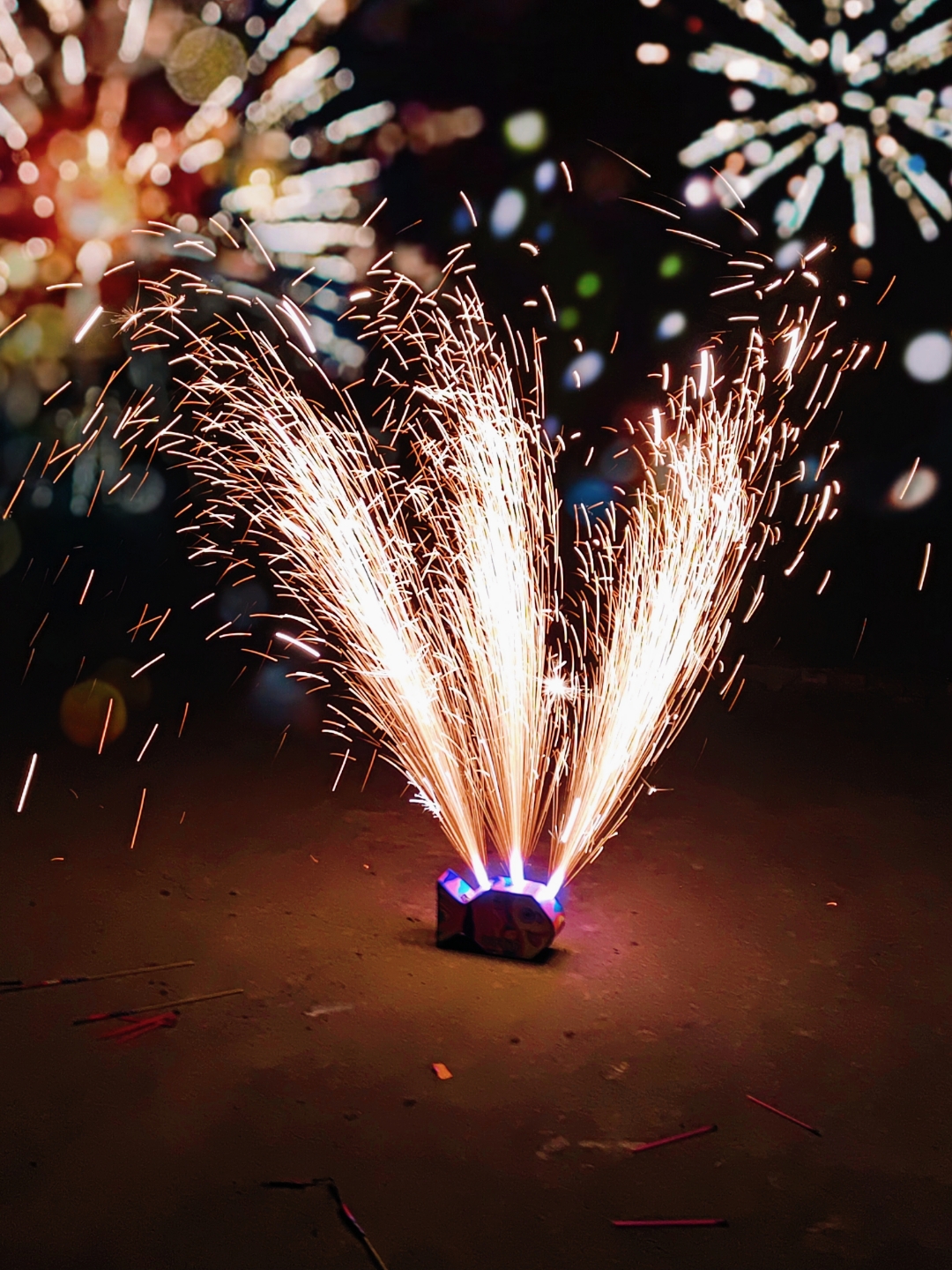 祝大家新年快乐啦 天冷了,小哀多穿点儿