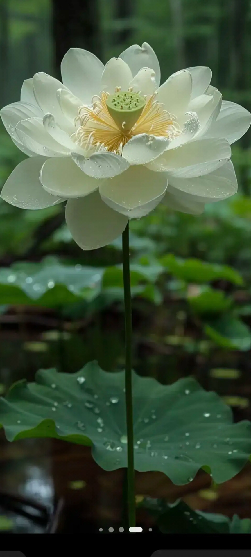 坐领导的车,不要玩手机,只坐在副驾驶,不坐后排. 2