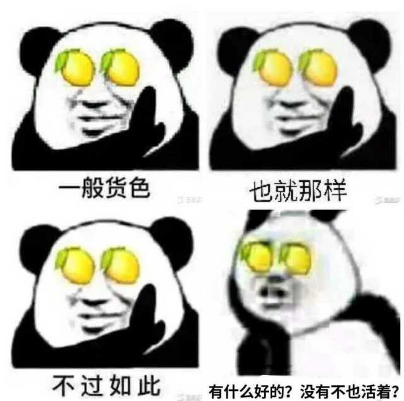 分享图片