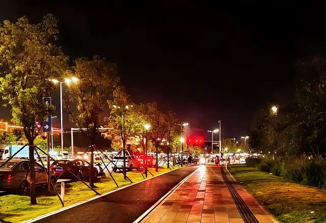 路晚上临潼环山路图片夜景武汉市蔡甸区妉山镇夜景图片夜晚大杂院道路
