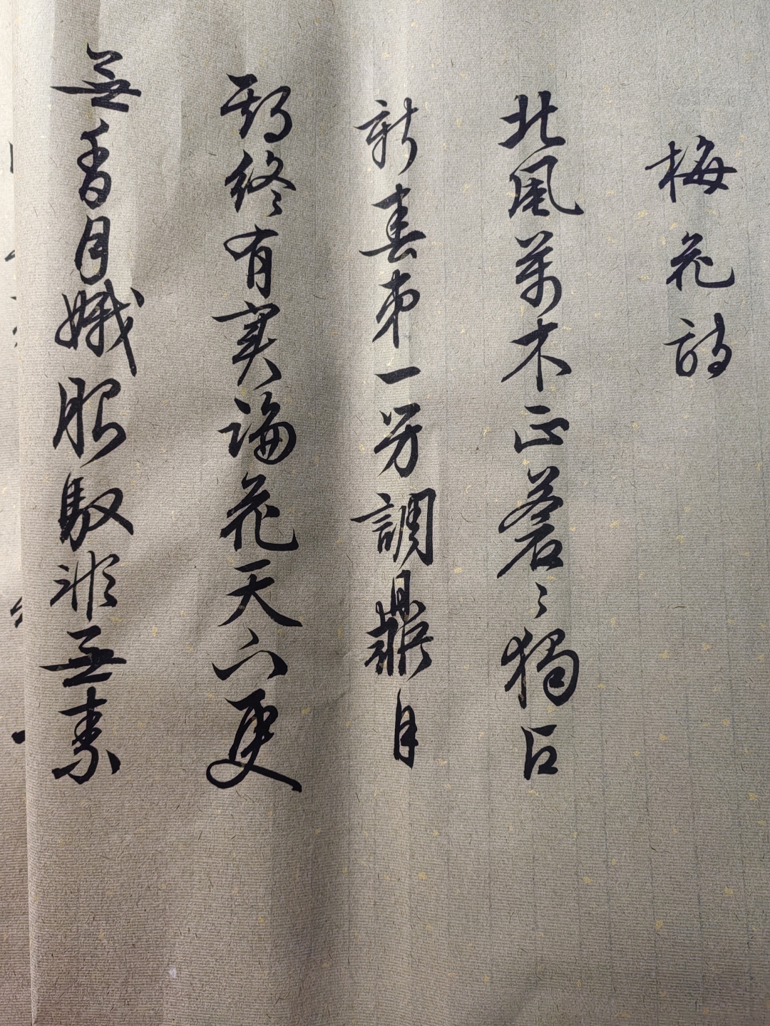 文征明梅花诗初临