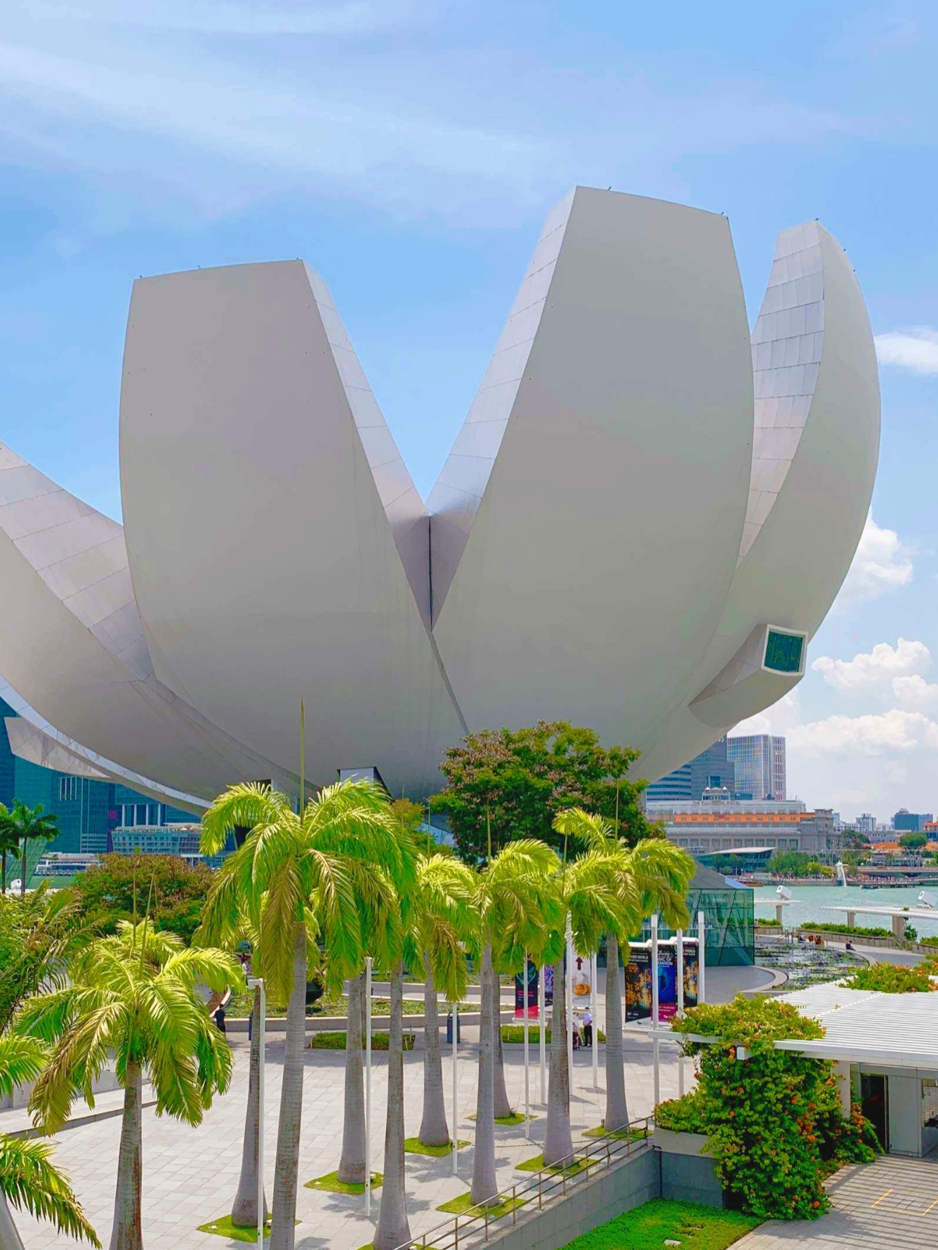 新加坡10个超好玩的博物馆、科学馆，边玩边学习！好多新活动~亲子遛娃必收！