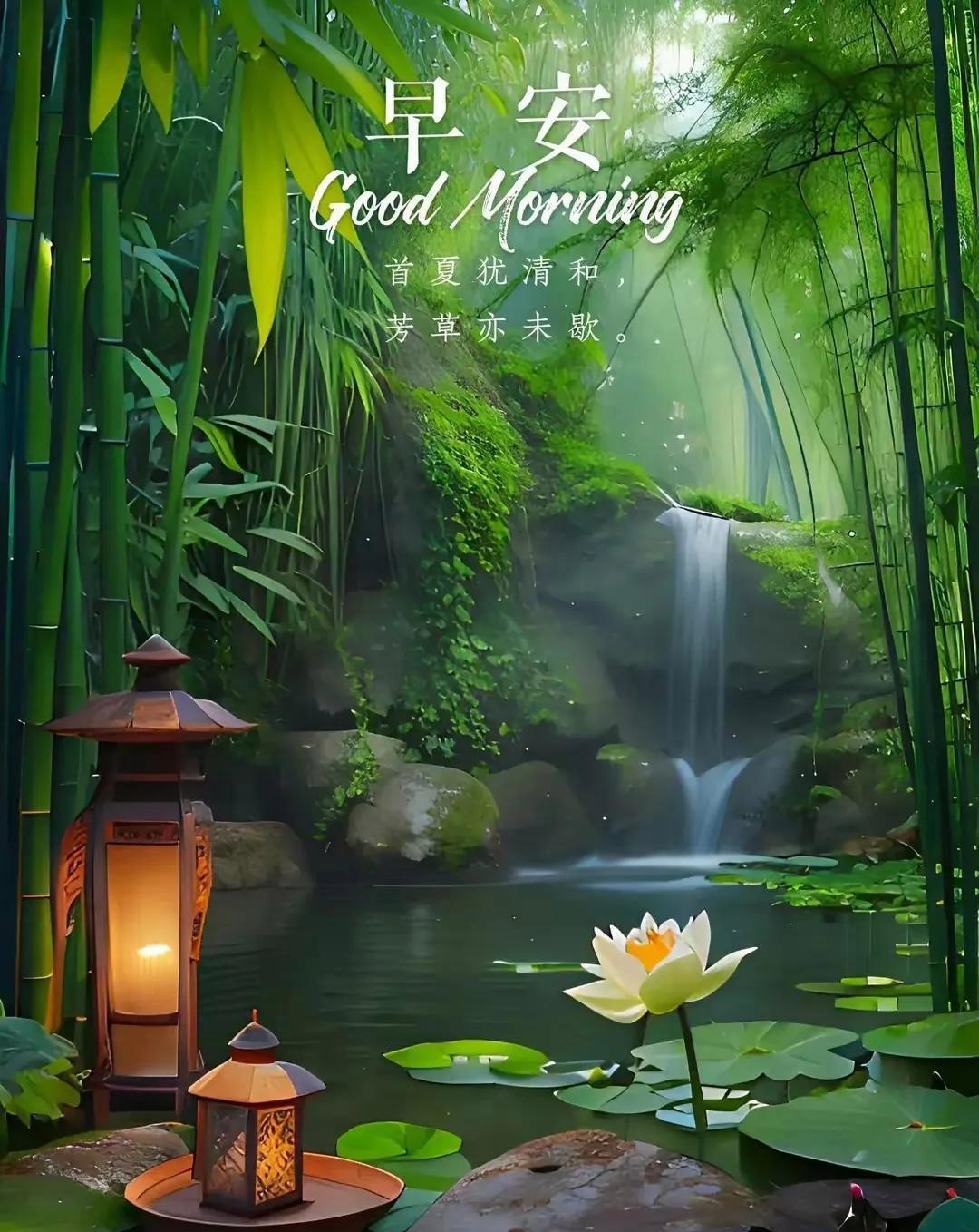早安!愿你每日都被爱紧紧围绕,对生活满怀期待,开启美好新一天.早上好