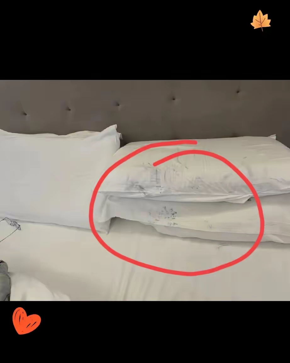 用枕头可以把自己闷死吗