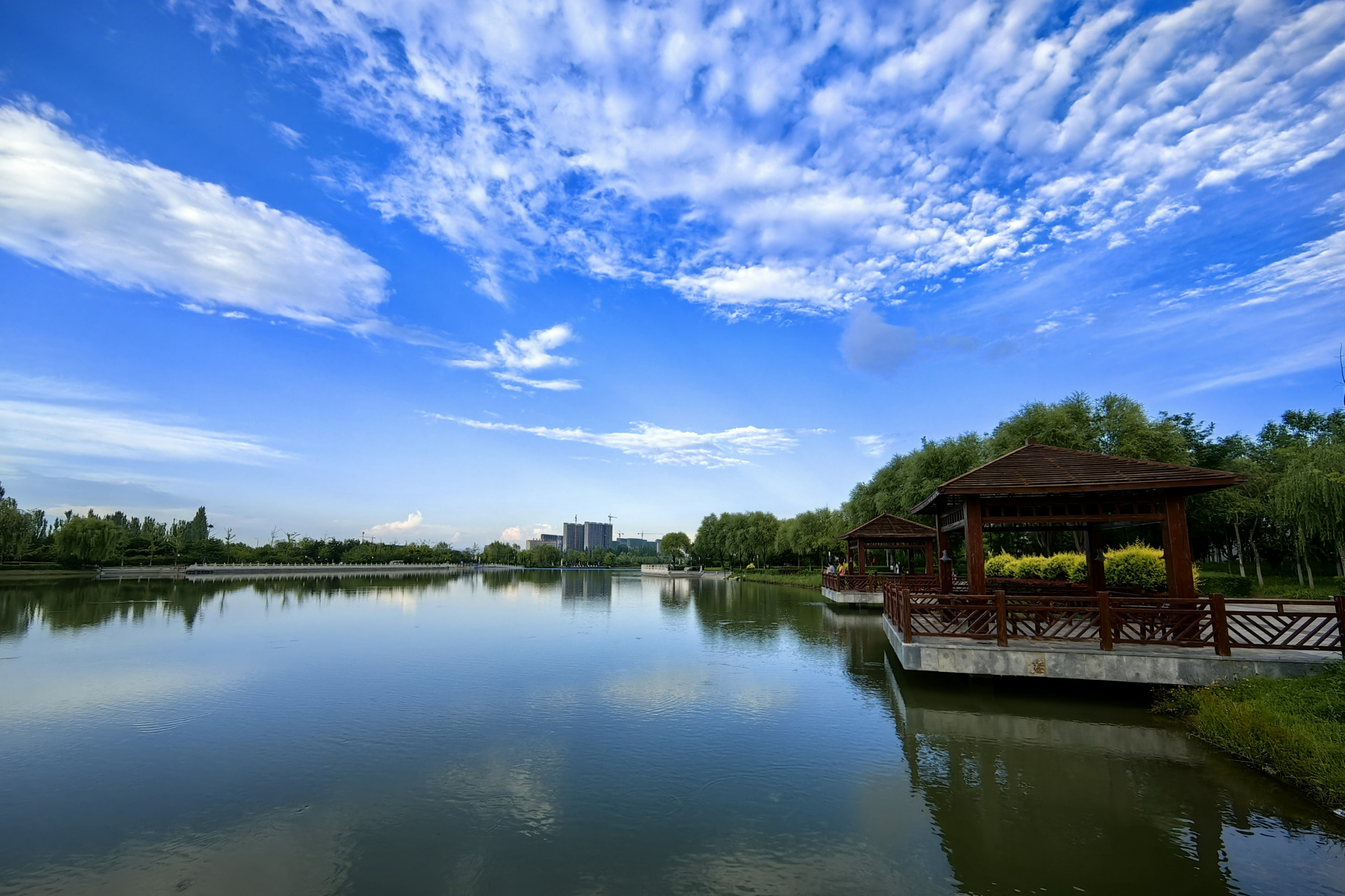 山西忻州云中河公园aaaa景区,夏天到了,这里最能表示夏季的莫过于荷塘