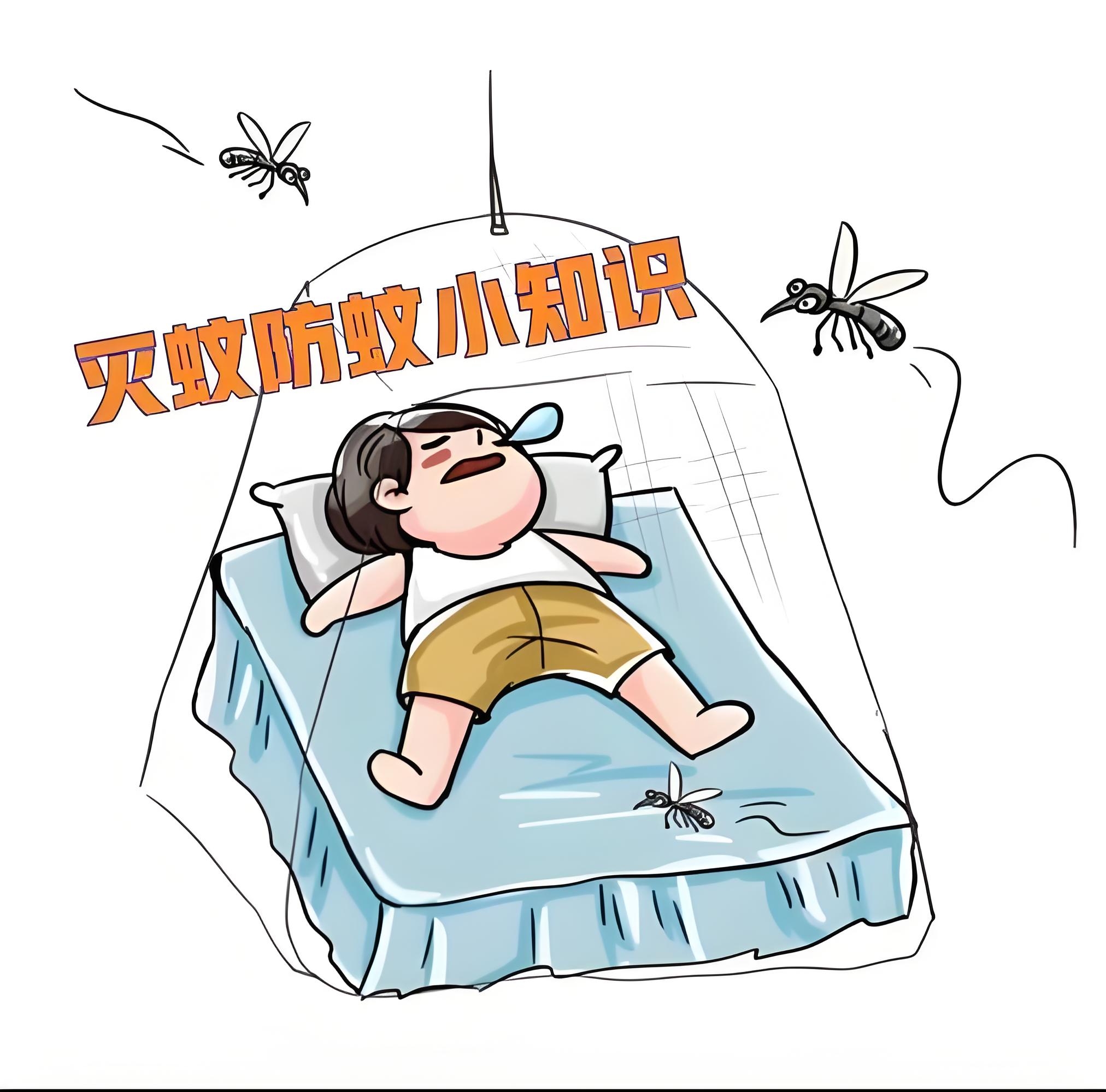 灭蚊小记