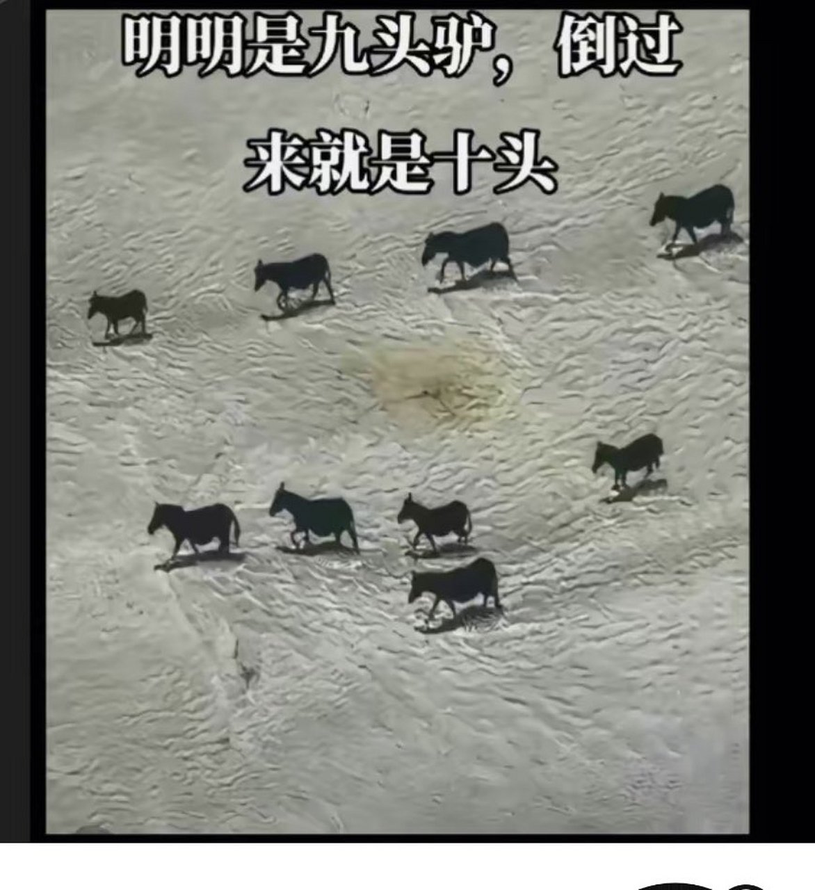 顺着看明明是9头驴,倒过来看就10头了. 不信你试试!