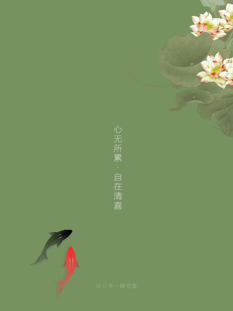 一念心清净,处处莲花开 每个人的心中,都有一处莲境 平静又坦然,素简