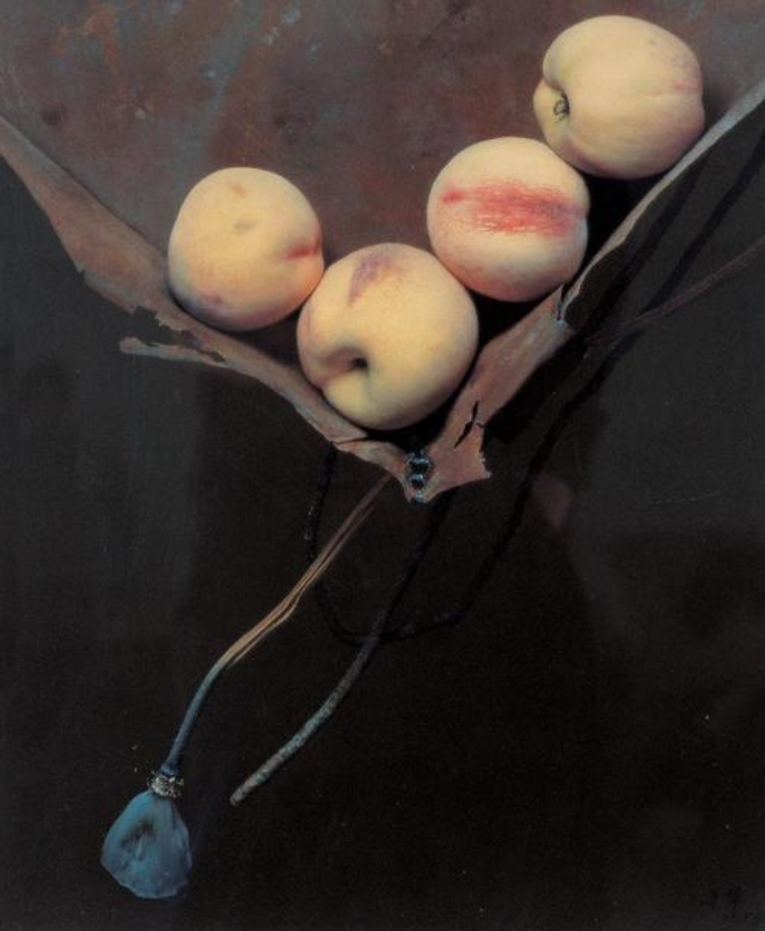 冷军静物作品(桃子,剪刀),朝鲜油画家作品.