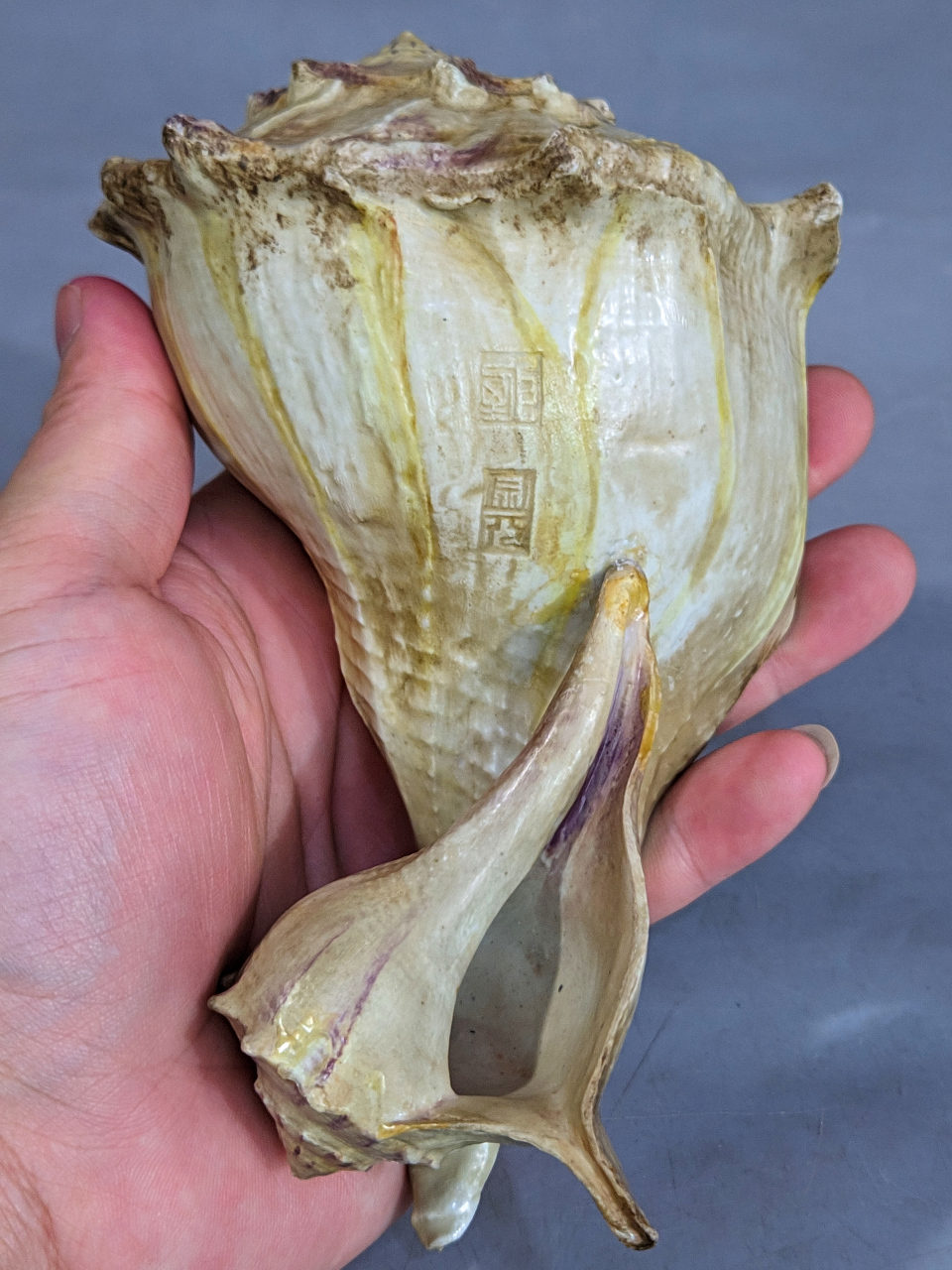 清,仿生瓷海螺