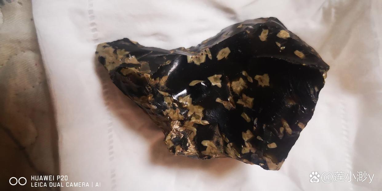 我捡的梅花状玻璃陨石