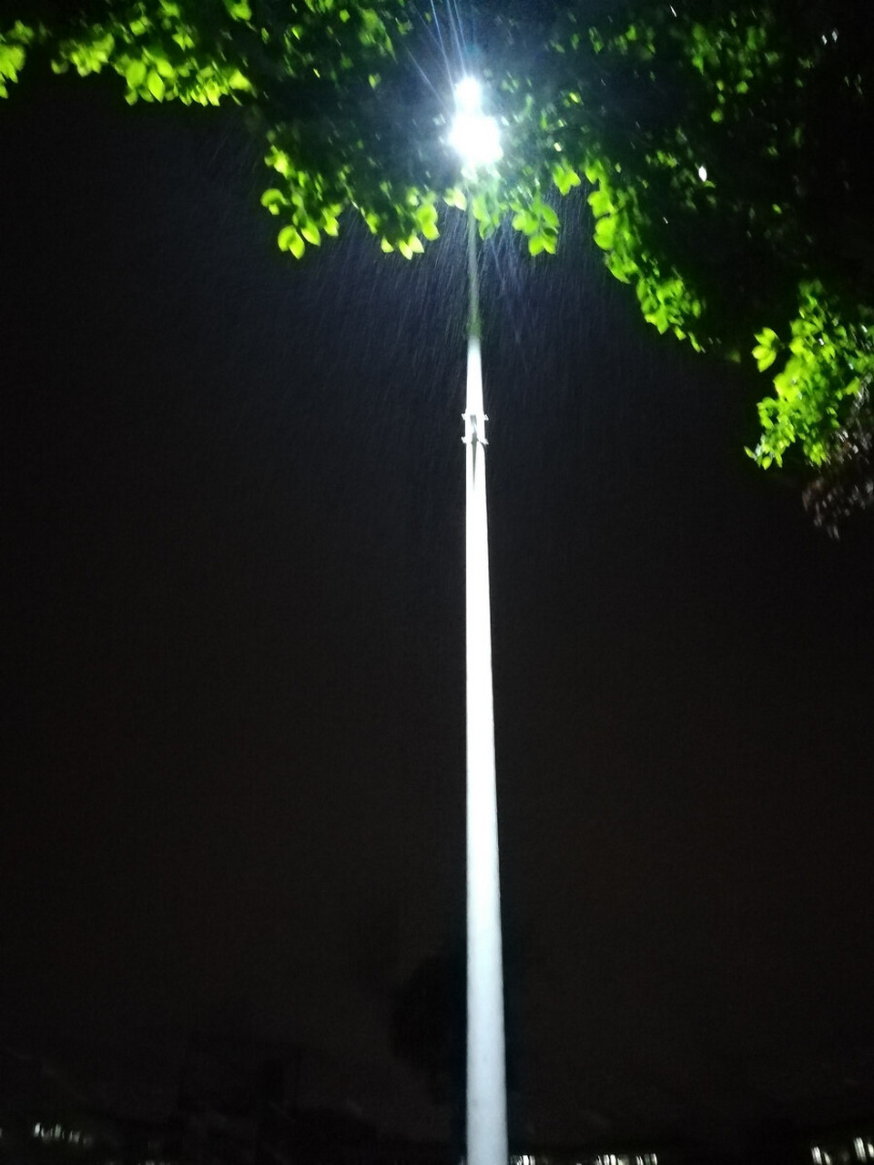 雨水多情应笑我, 笑我如今