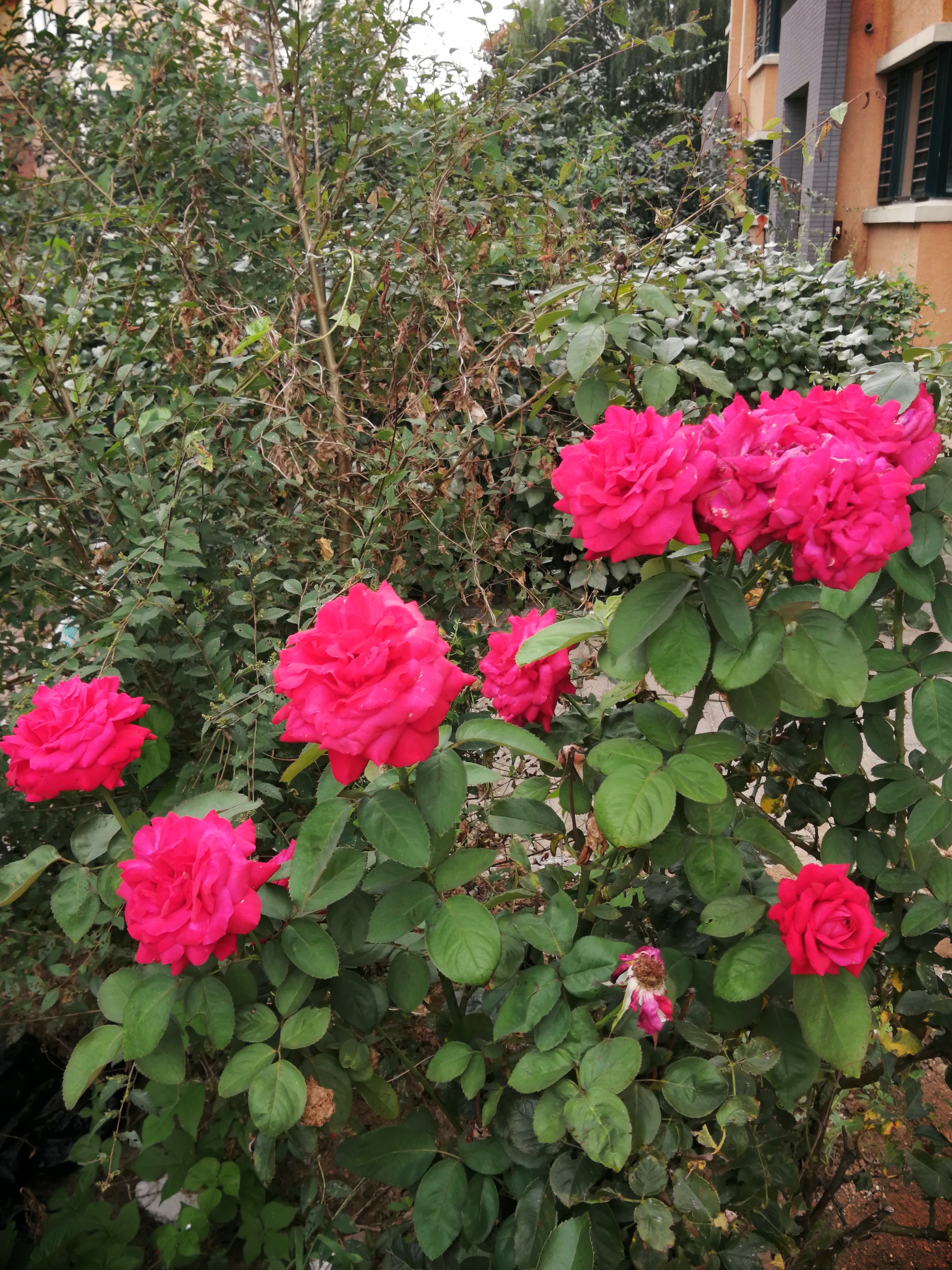 耐呵苍天饶过谁,知足者常乐,别忘想天开了.